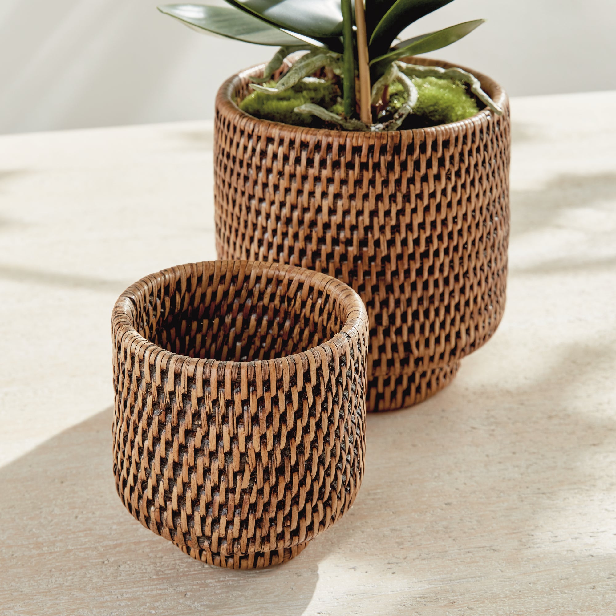 Zoe Rattan Cachepots, Set of 2
