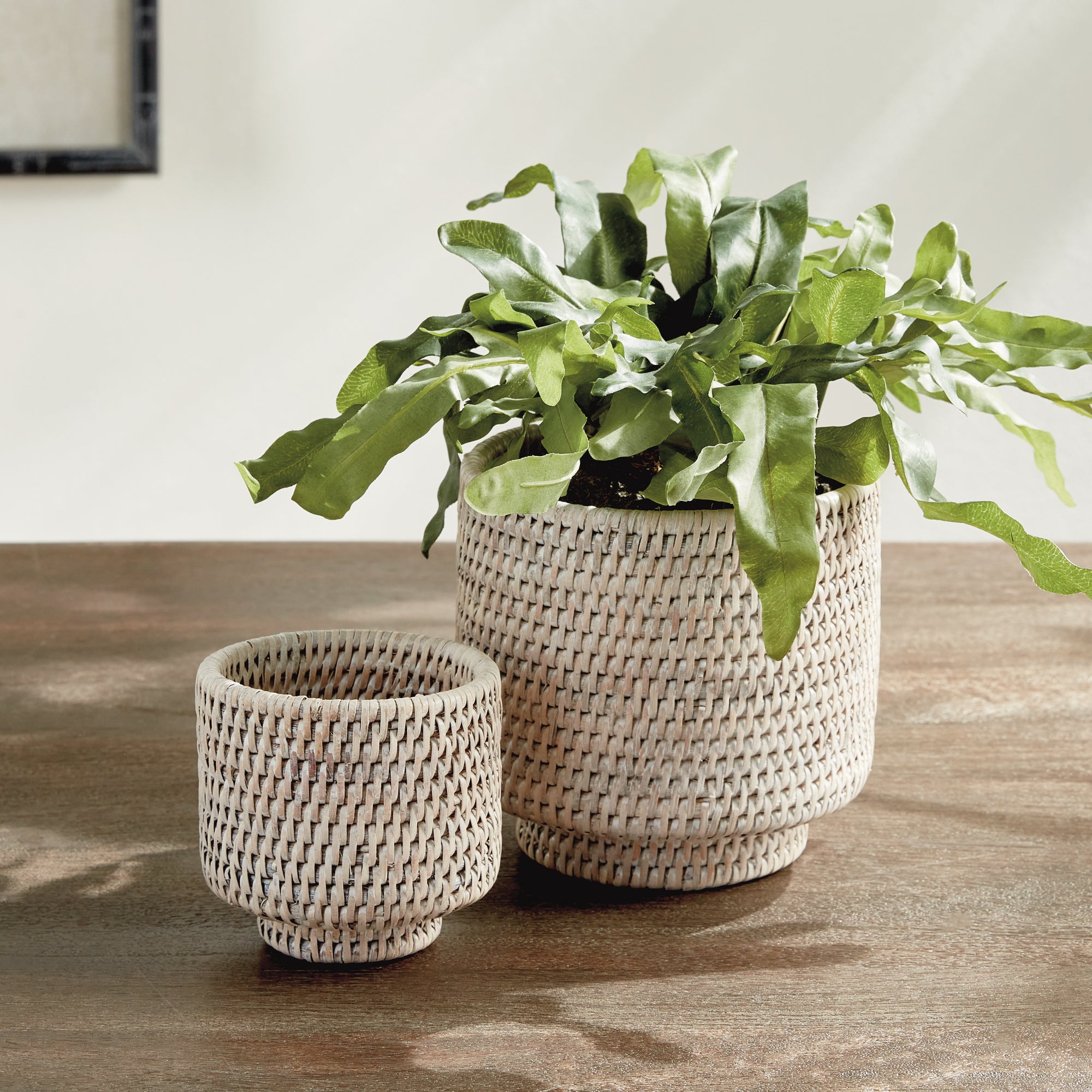 Zoe Rattan Cachepots, Set of 2