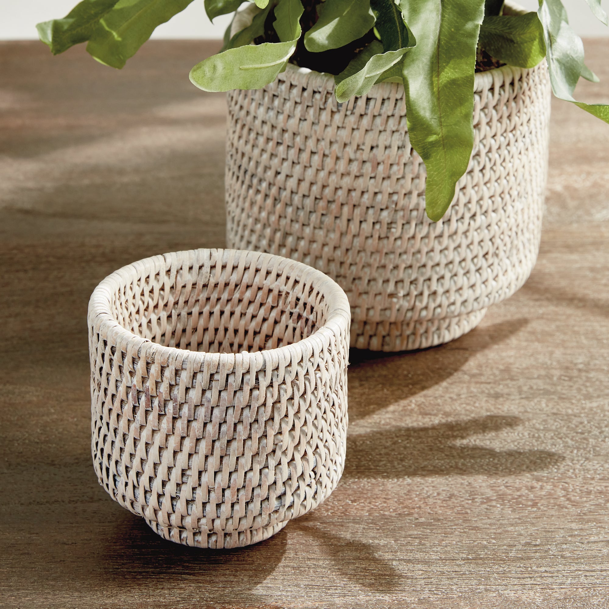 Zoe Rattan Cachepots, Set of 2
