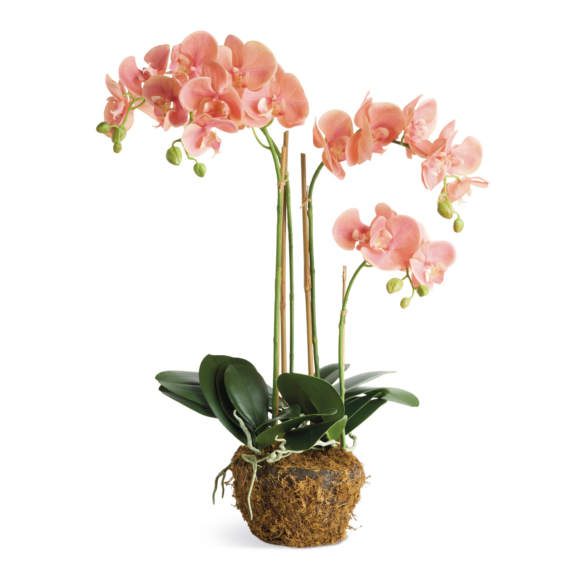 Tropical Pink Orchid Drop-In