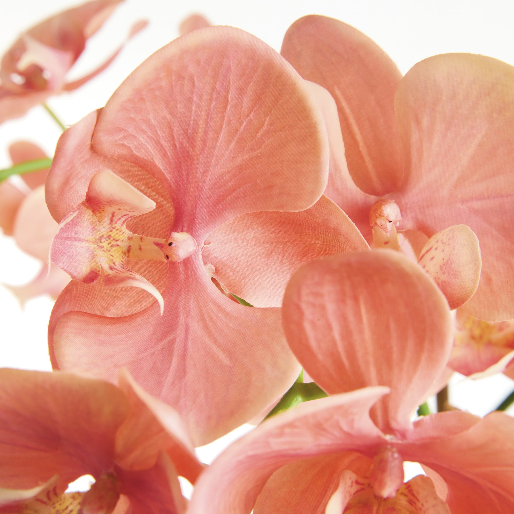 Tropical Pink Orchid Drop-In