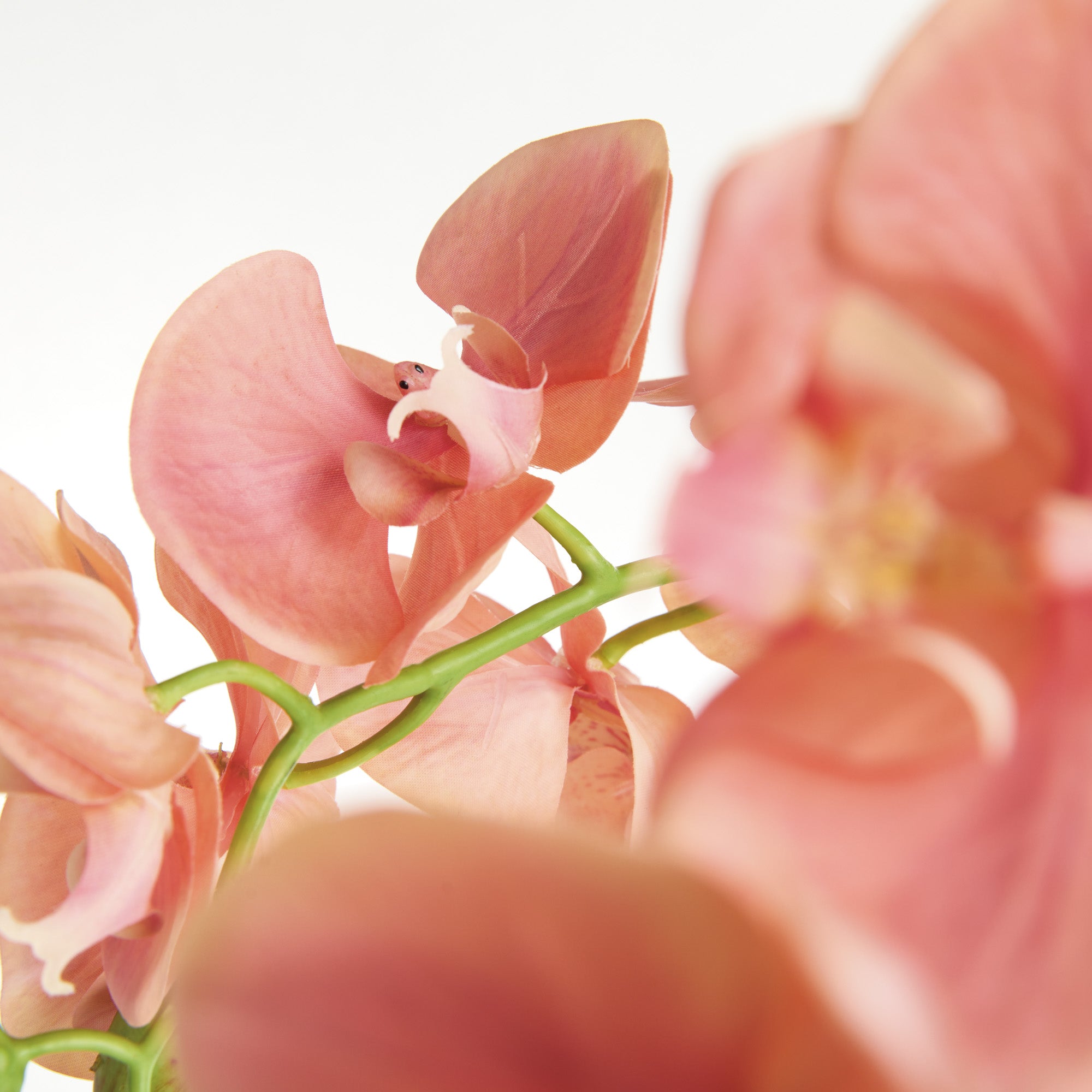 Tropical Pink Orchid Drop-In