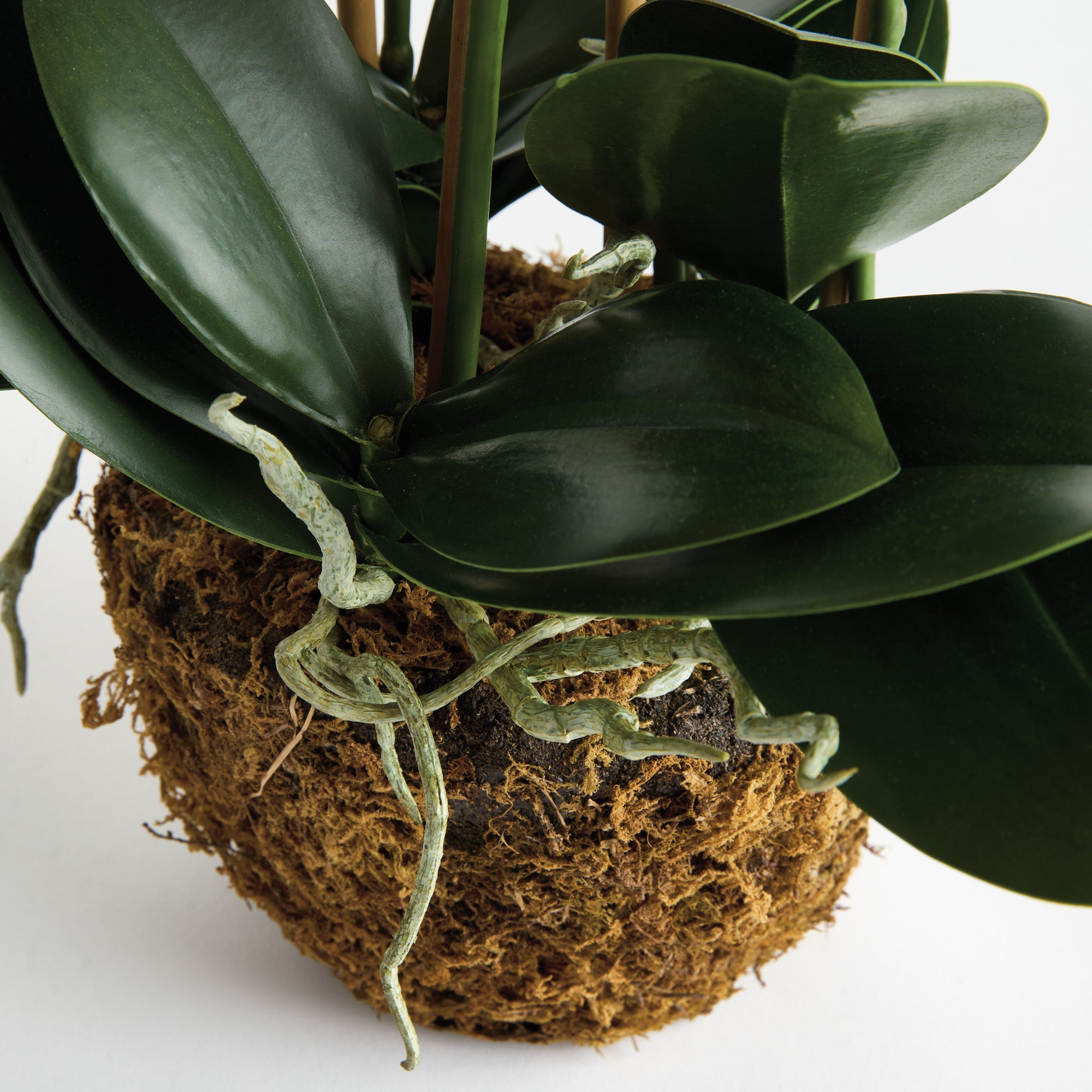 Tropical Pink Orchid Drop-In