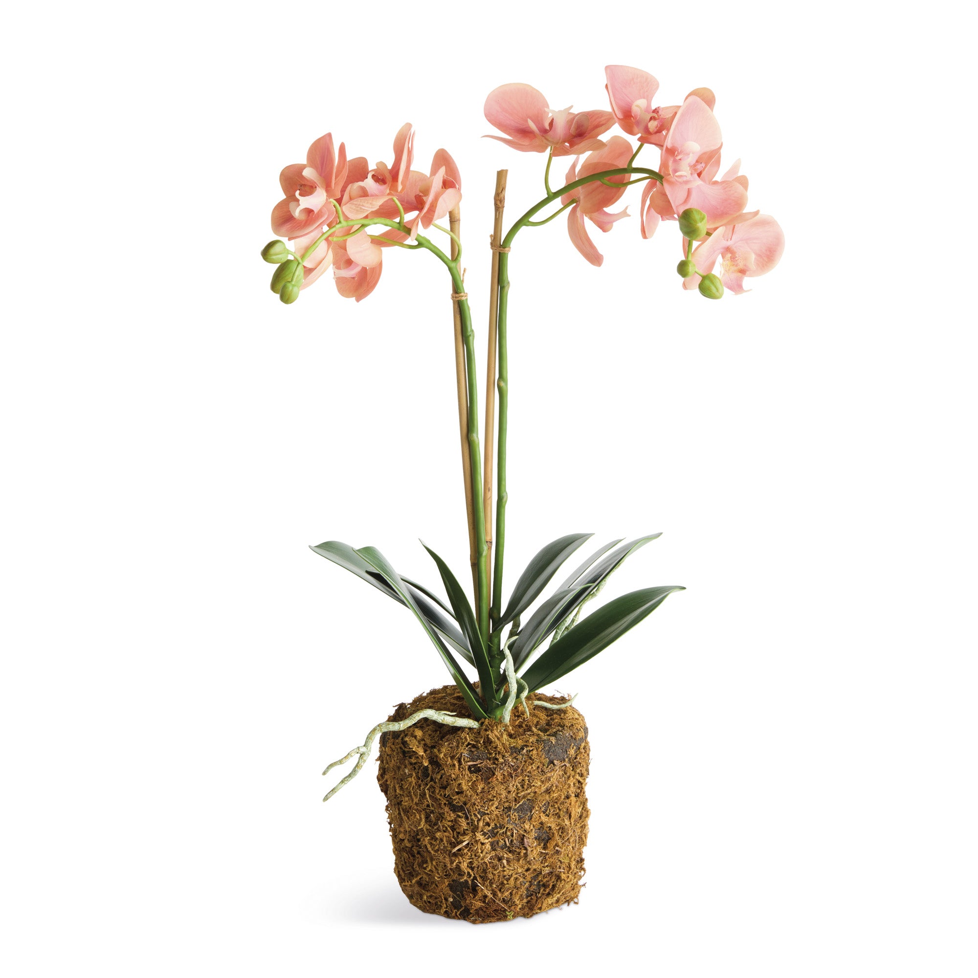 Tropical Pink Orchid Drop-In