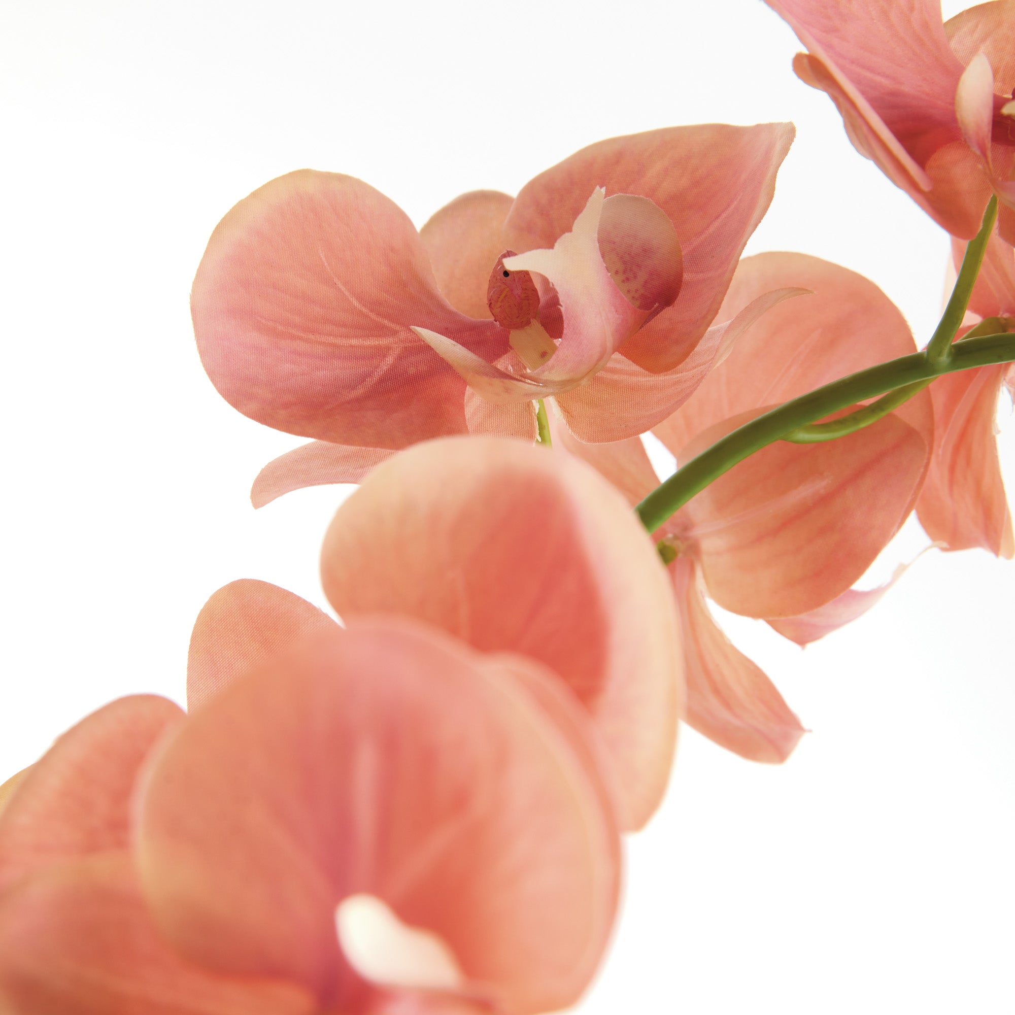 Tropical Pink Orchid Drop-In