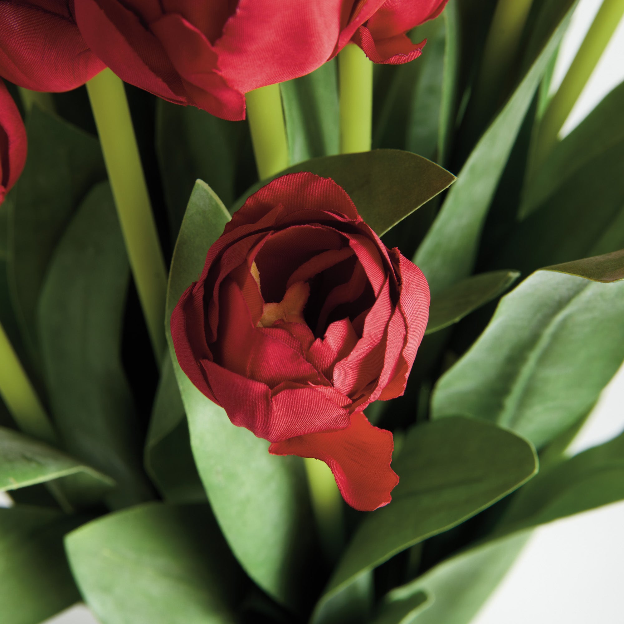 Red Peony Tulip Bundle Drop-In