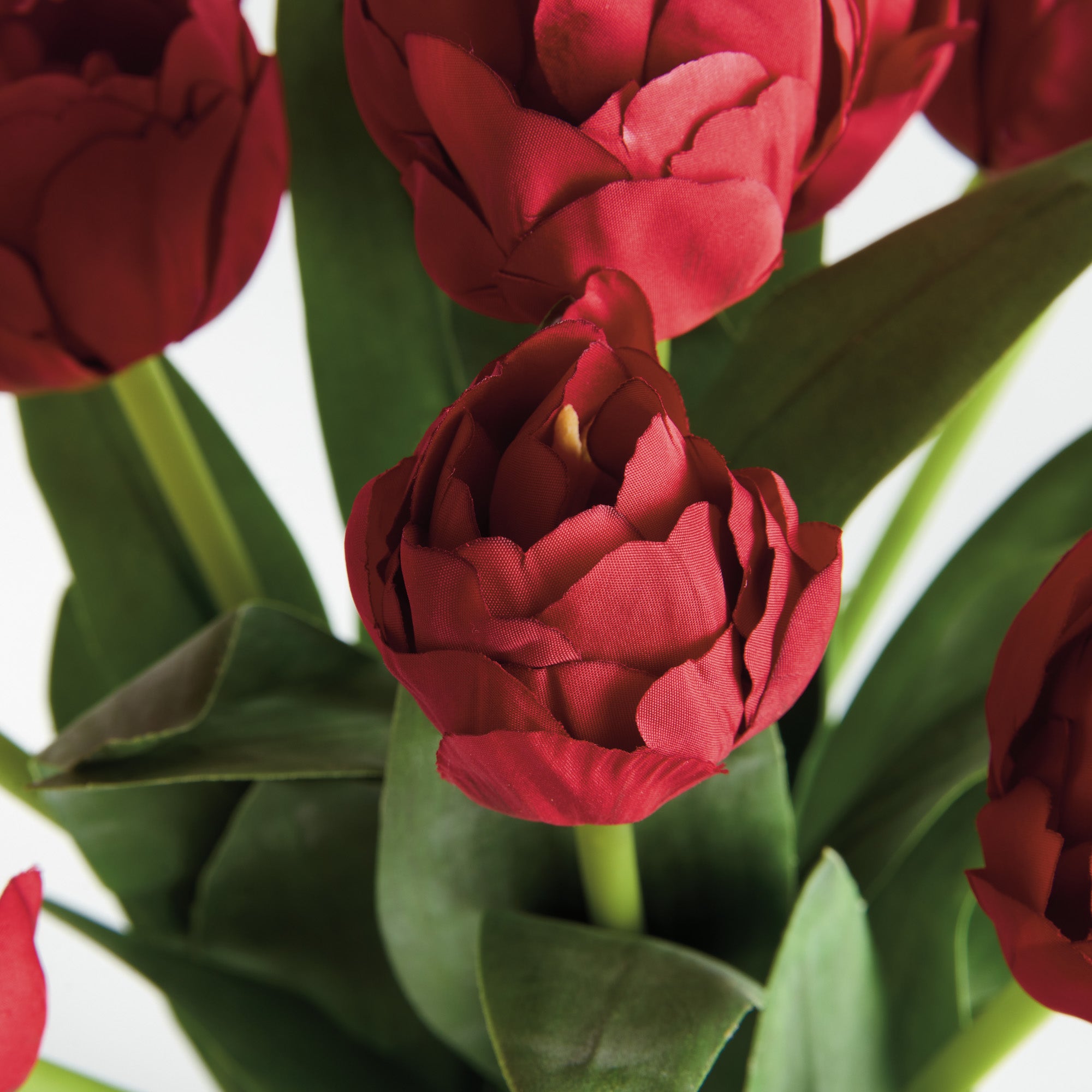 Red Peony Tulip Bundle Drop-In
