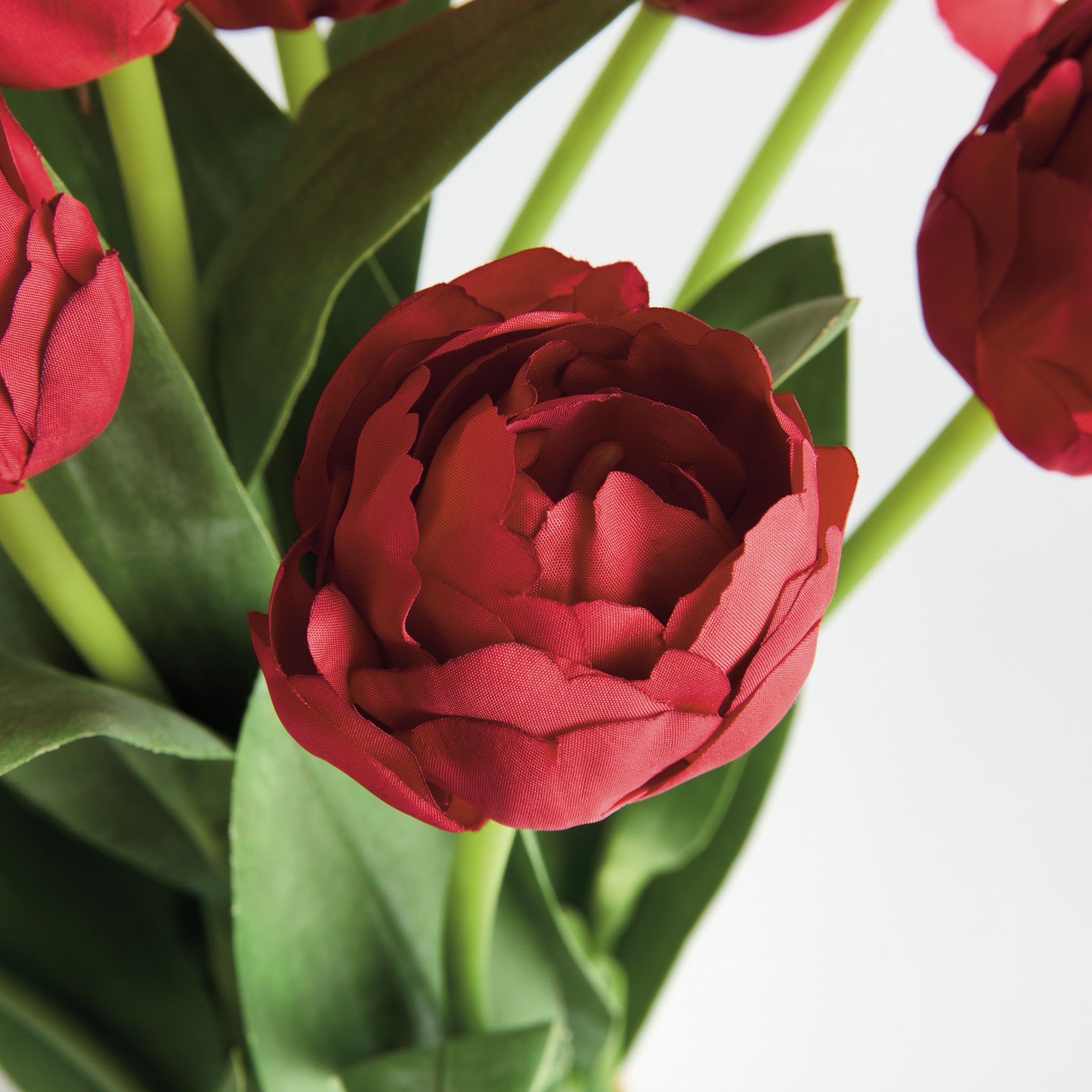 Red Peony Tulip Bundle Drop-In