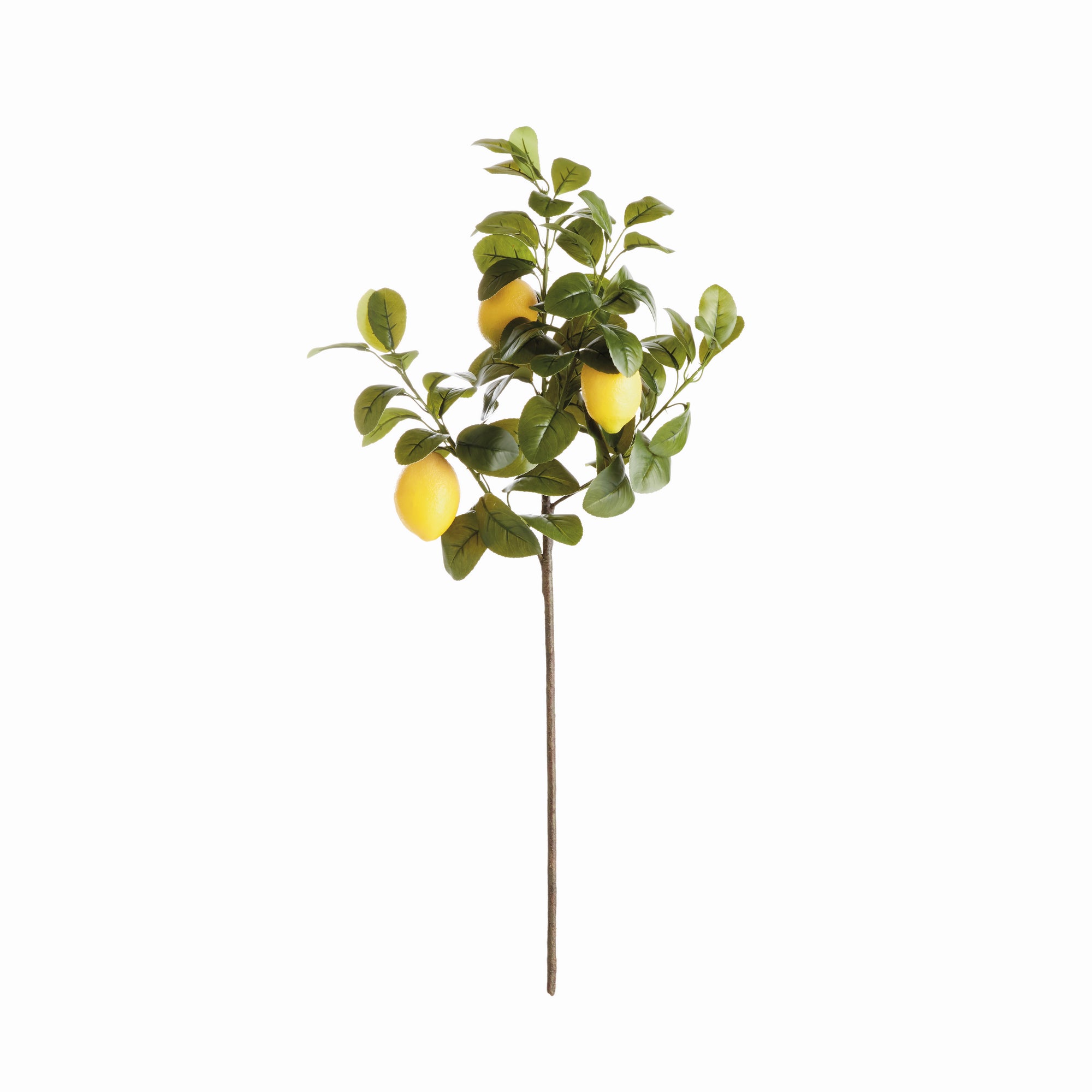 Artificial Lemon Stems - Set of 4