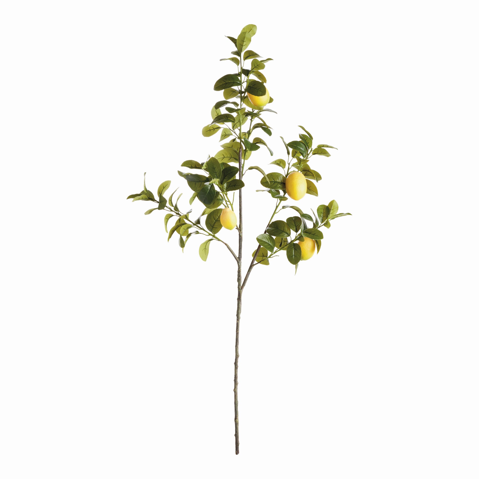 Artificial Lemon Branches - Set of 2