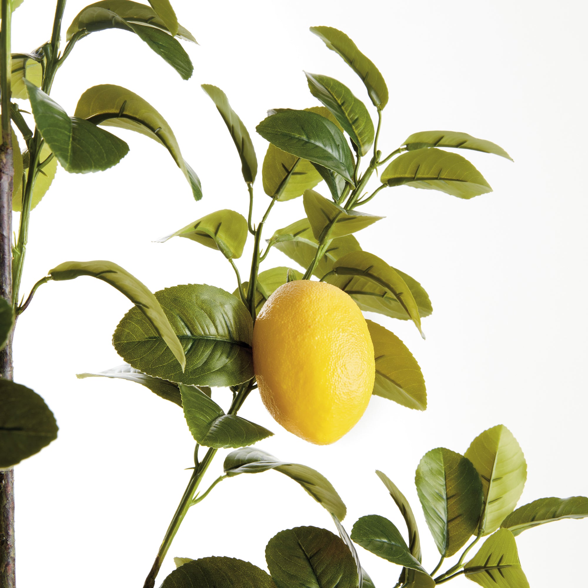 Artificial Lemon Branches - Set of 2