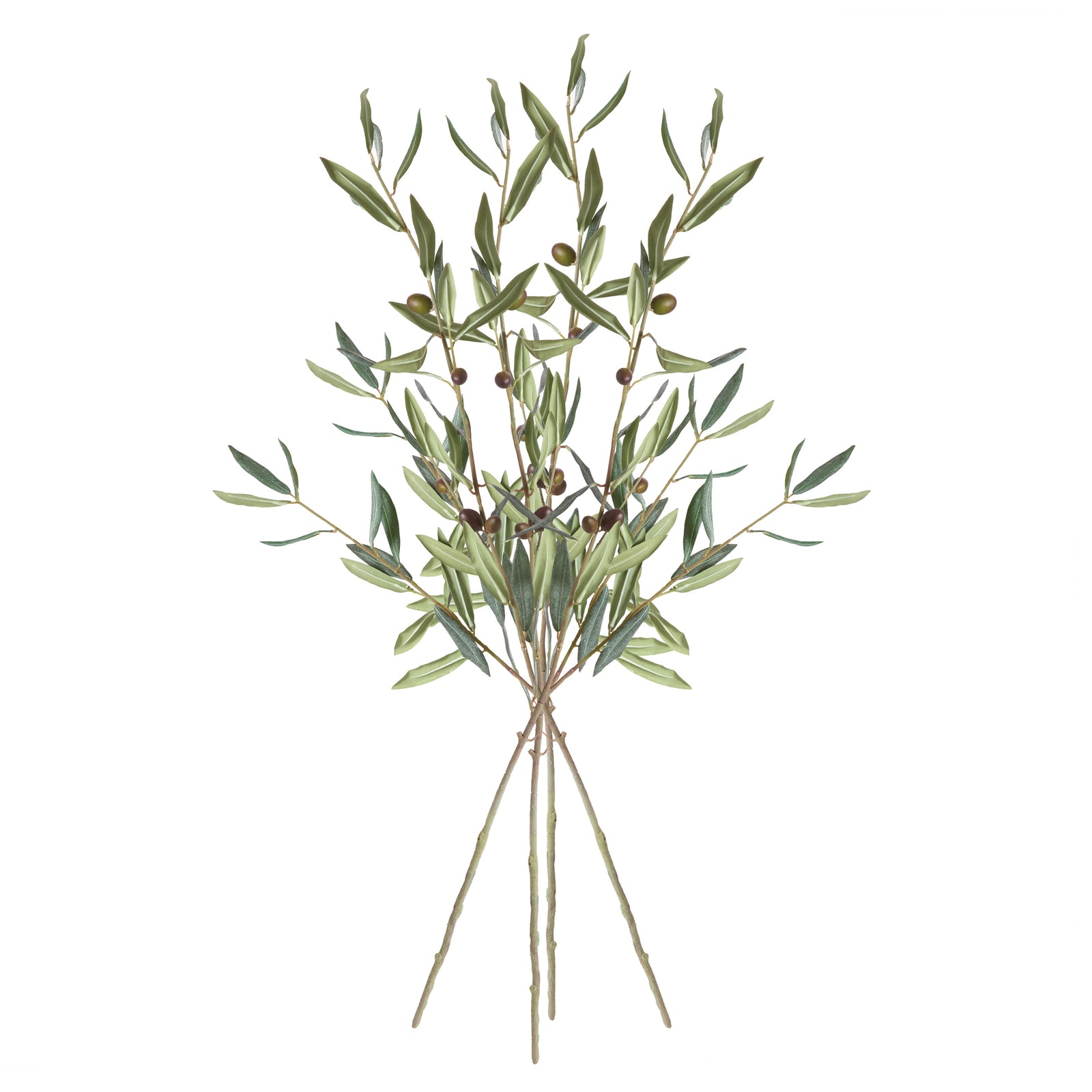 Olive Stems and Fruit, Set of 4