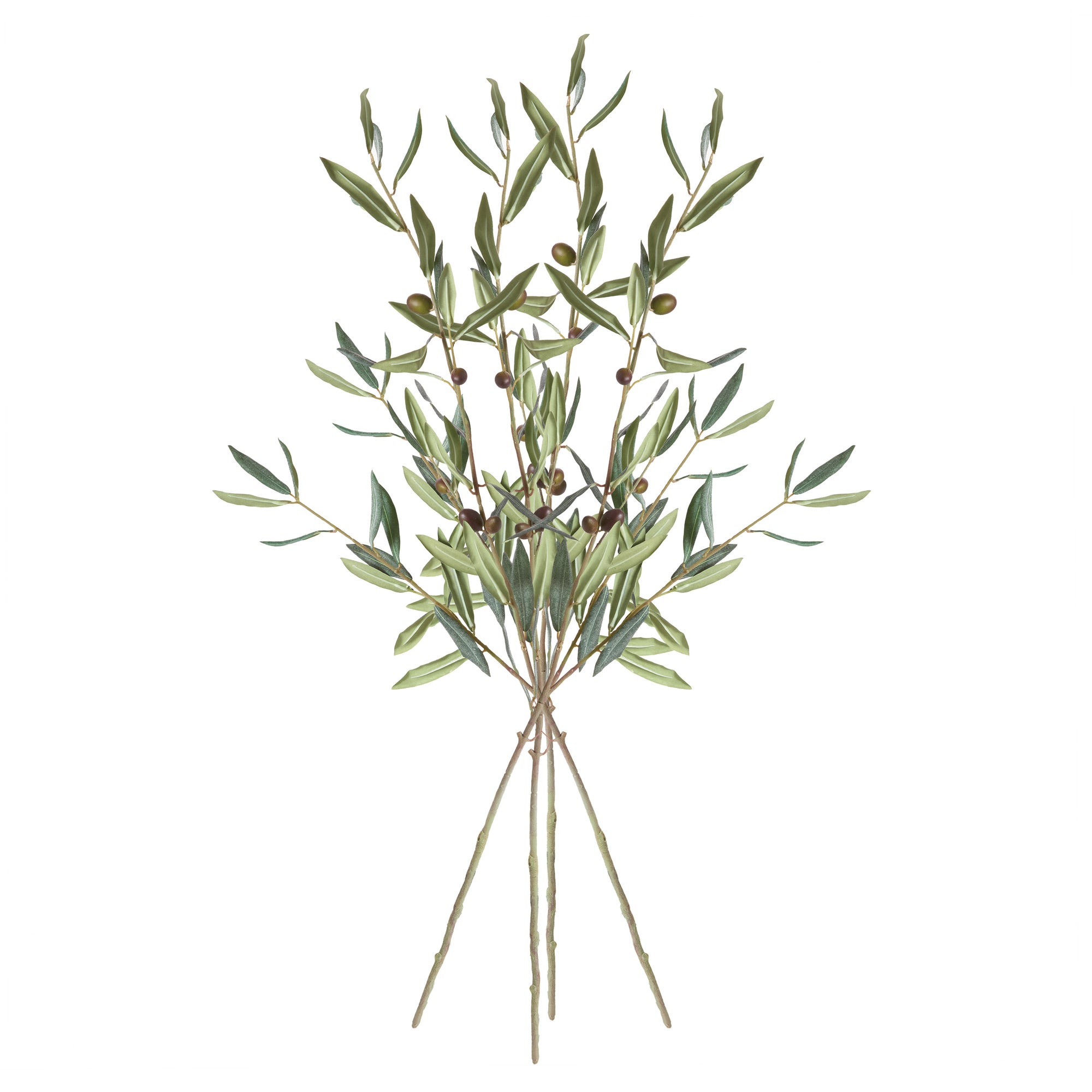 Olive Stems and Fruit, Set of 4