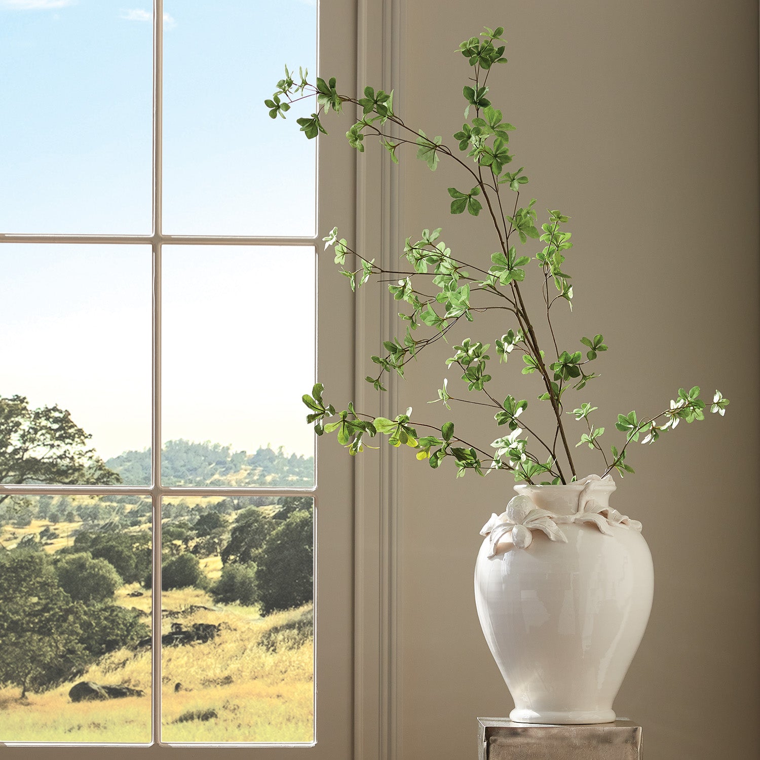 Weeping Shady Lady Black Olive Stems 28", Set of 4