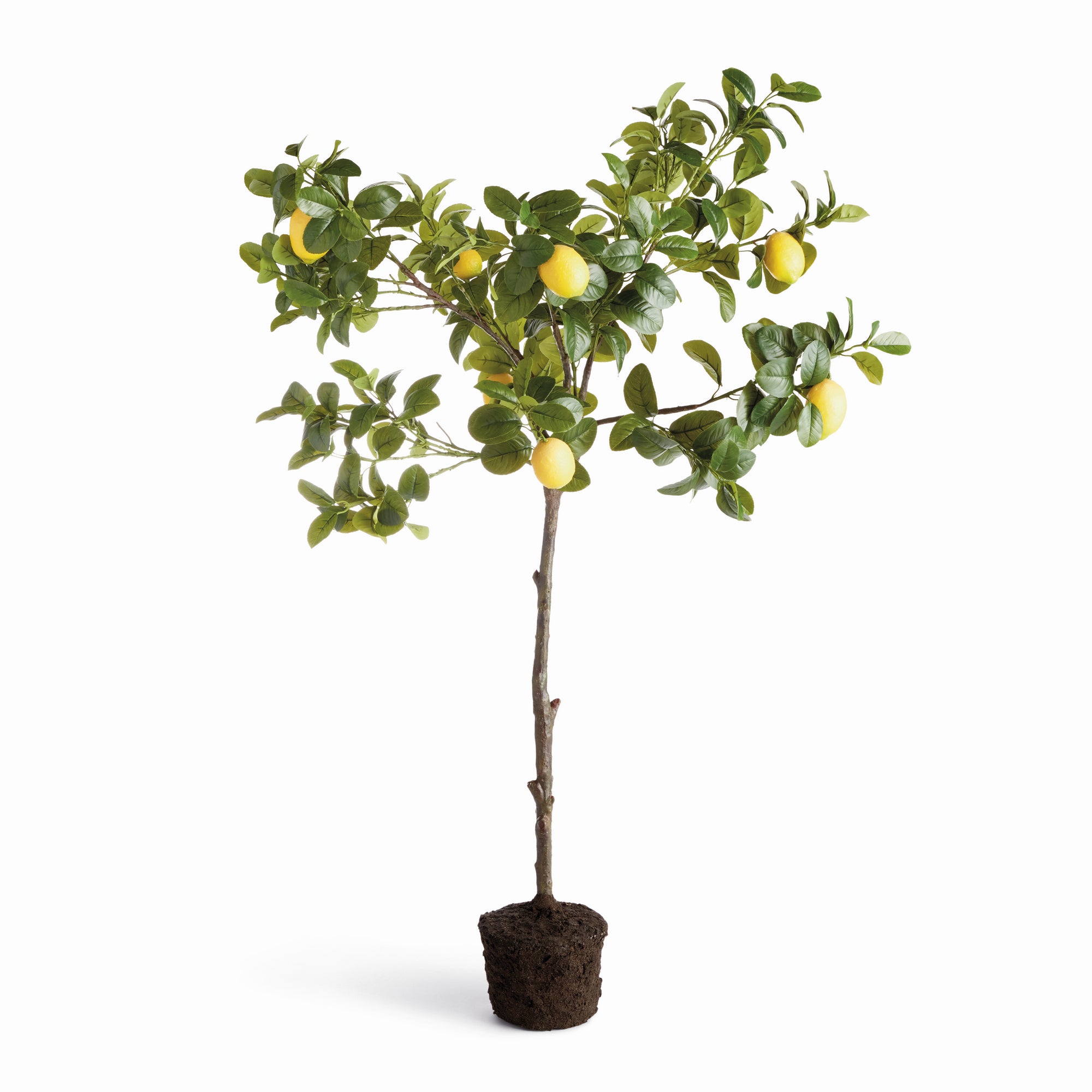 Artificial Lemon Tree Drop-in