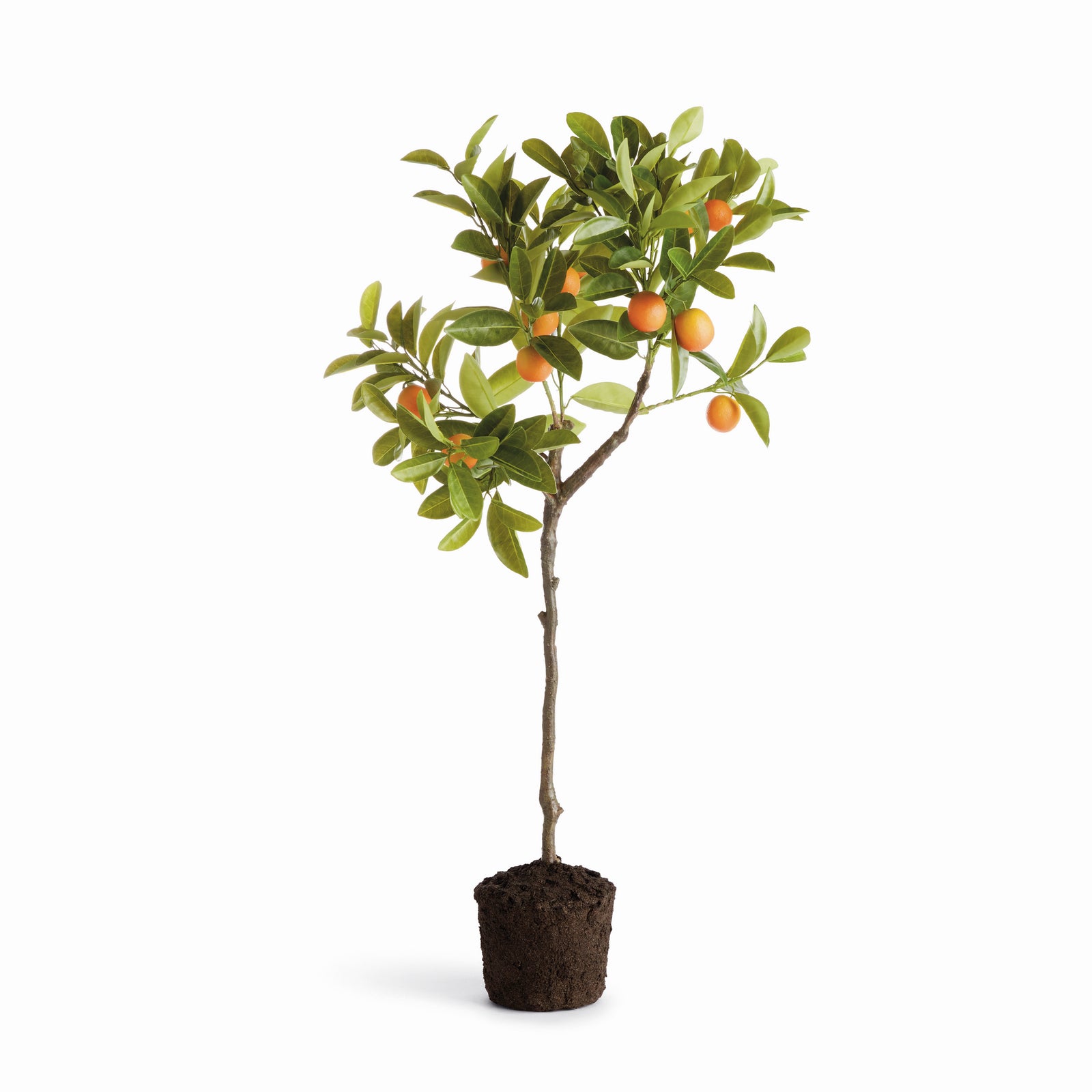 Artificial Kumquat Tree Drop-in 33"