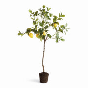 Artificial Lemon Tree Drop-in