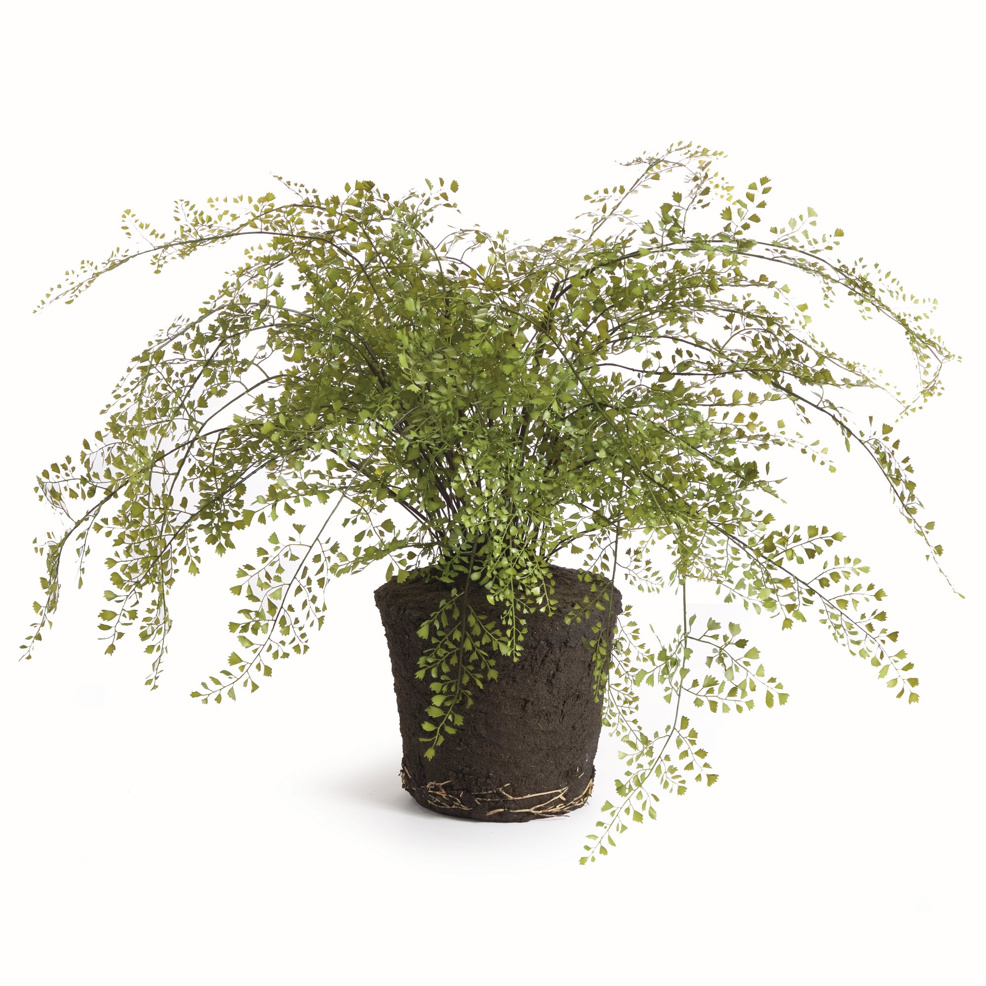 Maidenhair Fern Drop-in 37"