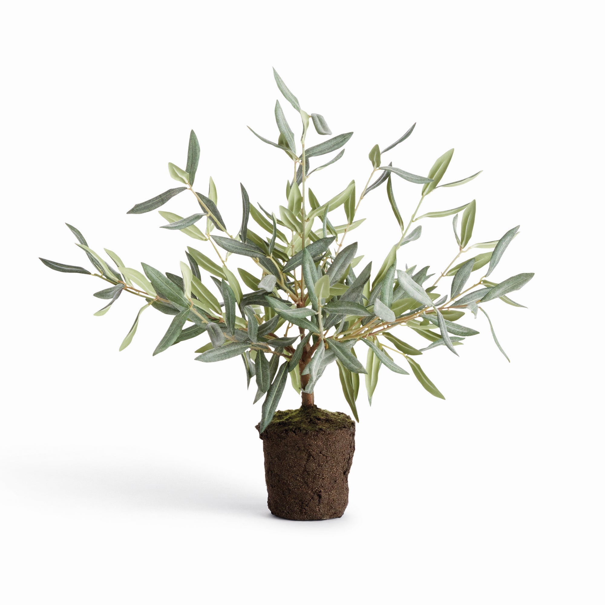 Evergreen Olive Tree Drop-in 17.5"