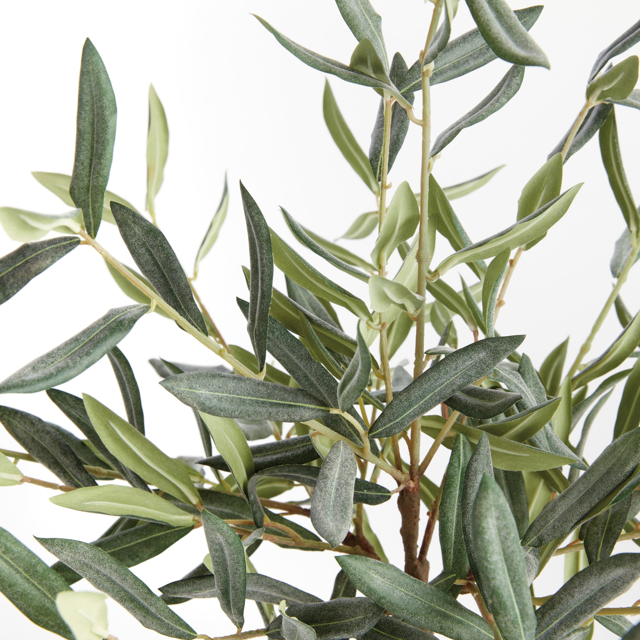 Evergreen Olive Tree Drop-in 17.5"