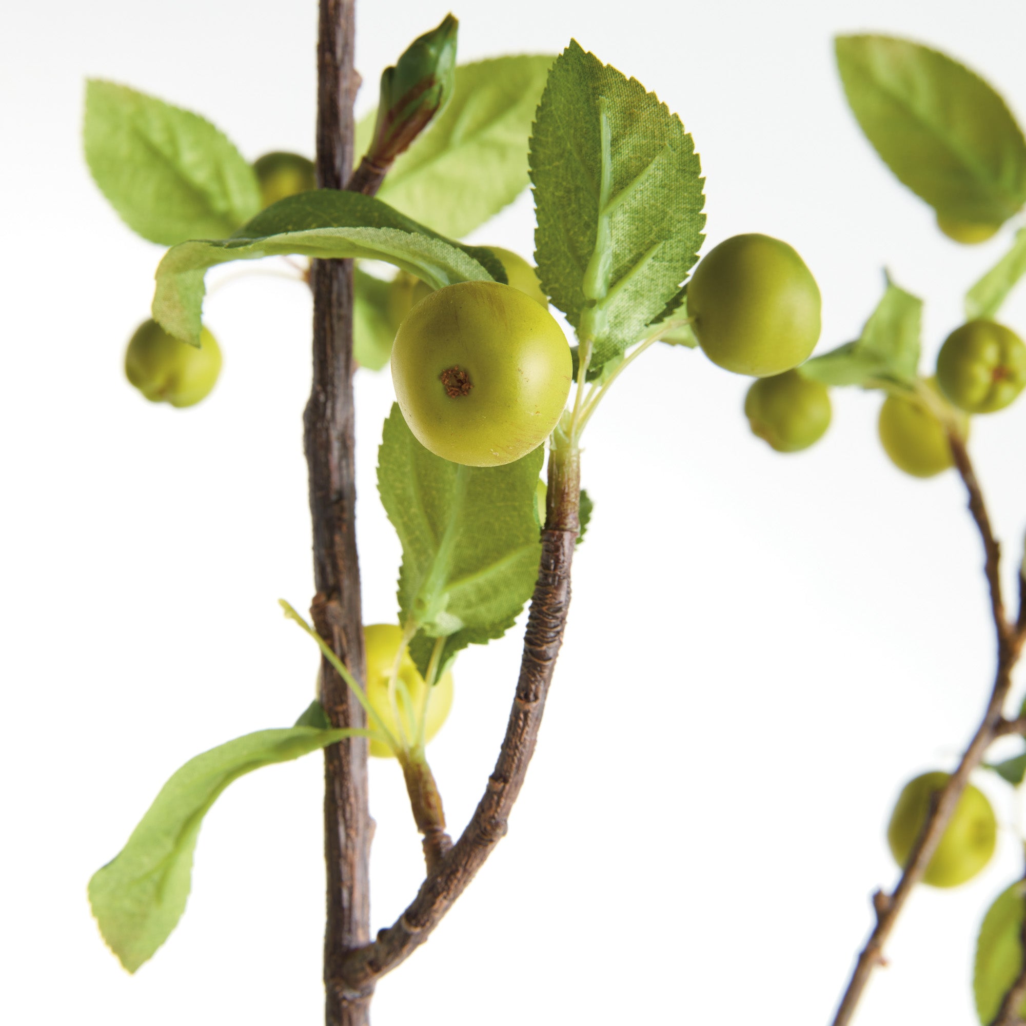 Fruity Crabapple Branches 45" Set of 2