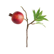 Ruby Pomegranate Picks 10" Set of 4