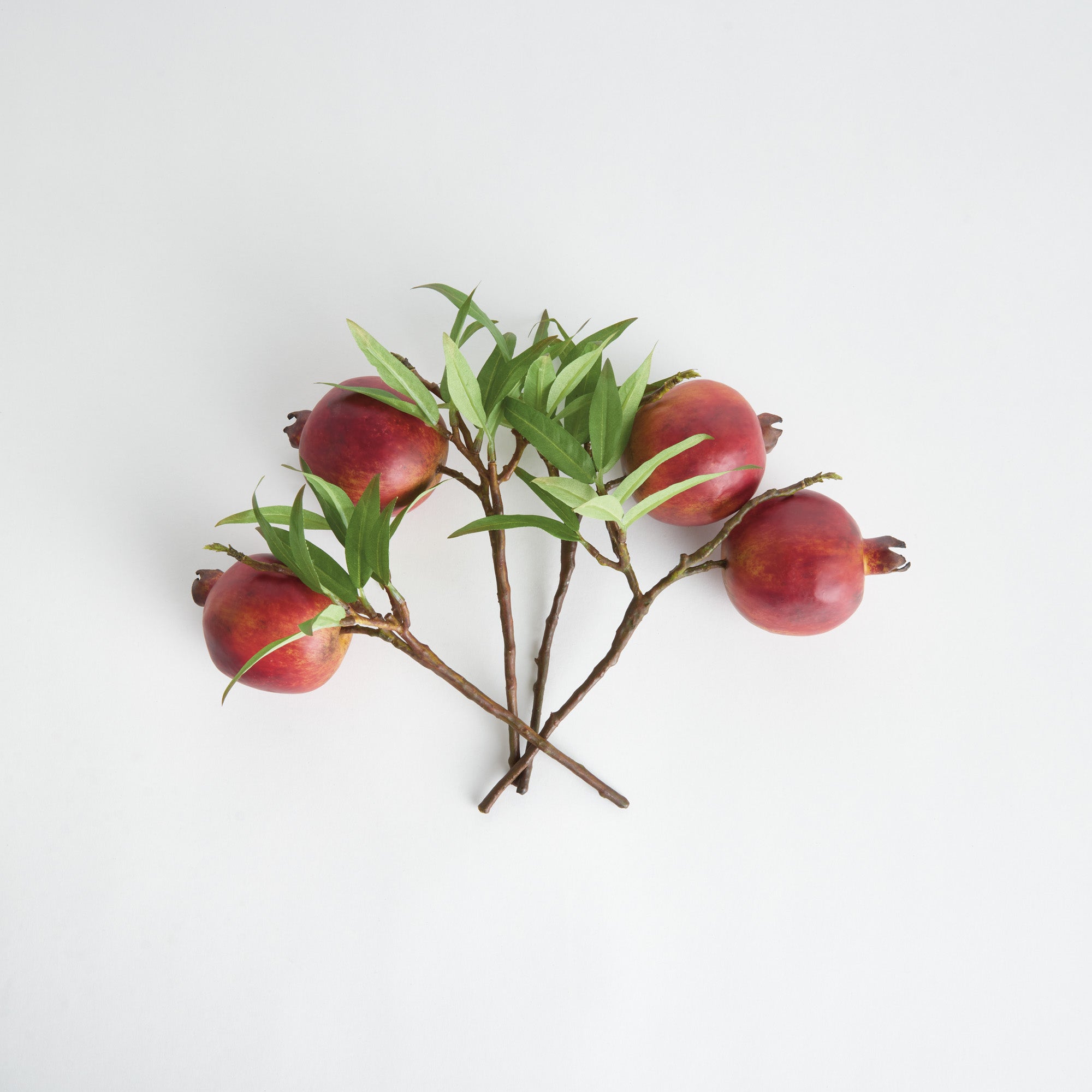 Ruby Pomegranate Picks 10" Set of 4
