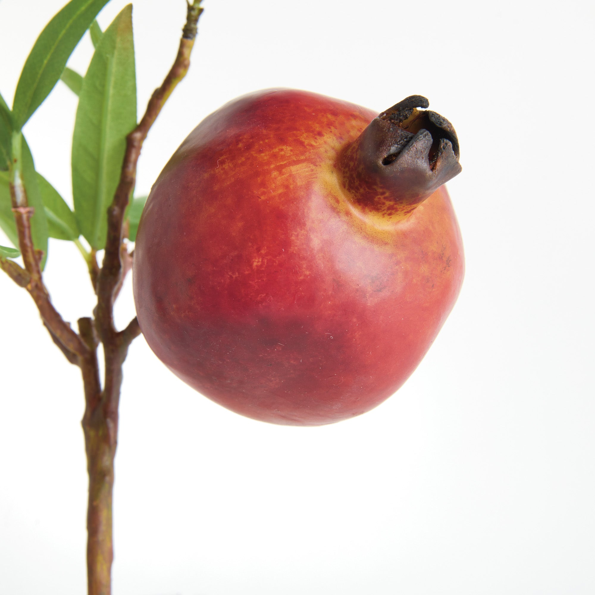 Ruby Pomegranate Picks 10" Set of 4