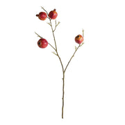 Ruby Pomegranate Branches 36" Set of 4