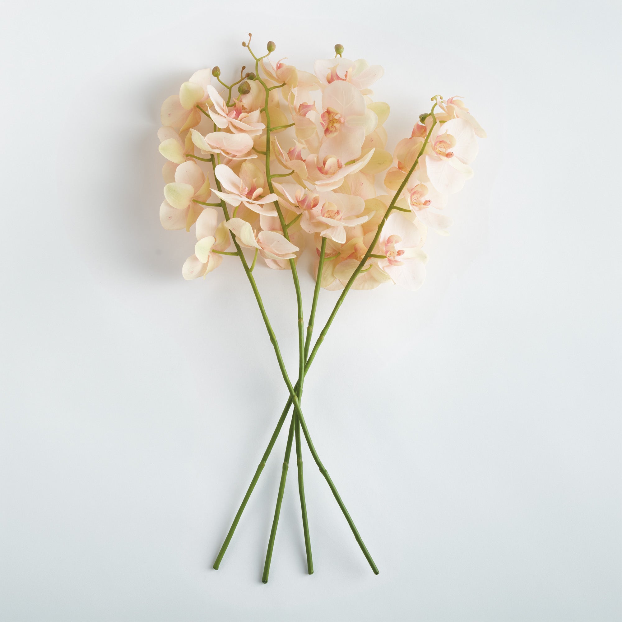 Tropical Orchid Twigs 28" Set of 4