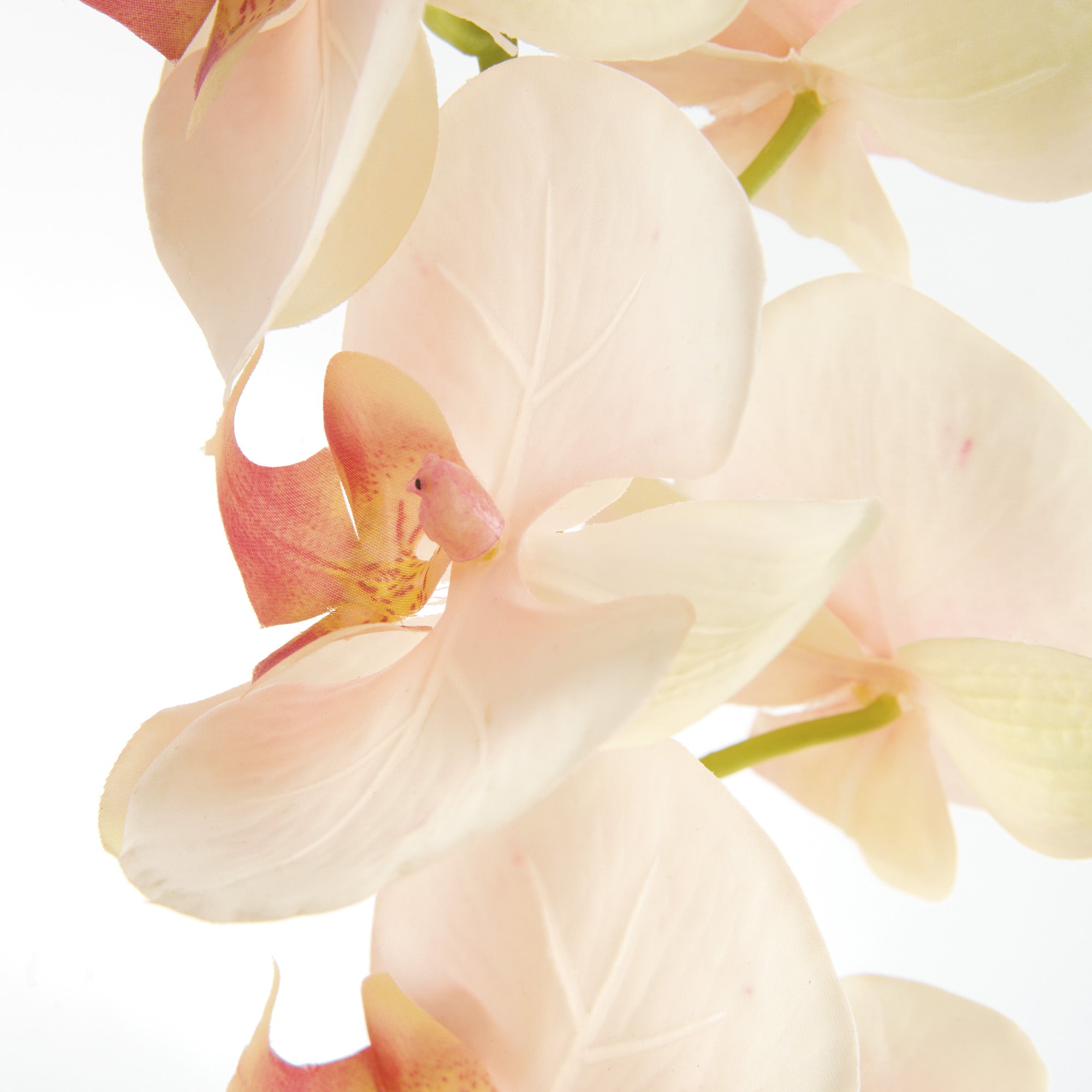 Tropical Orchid Twigs 28" Set of 4