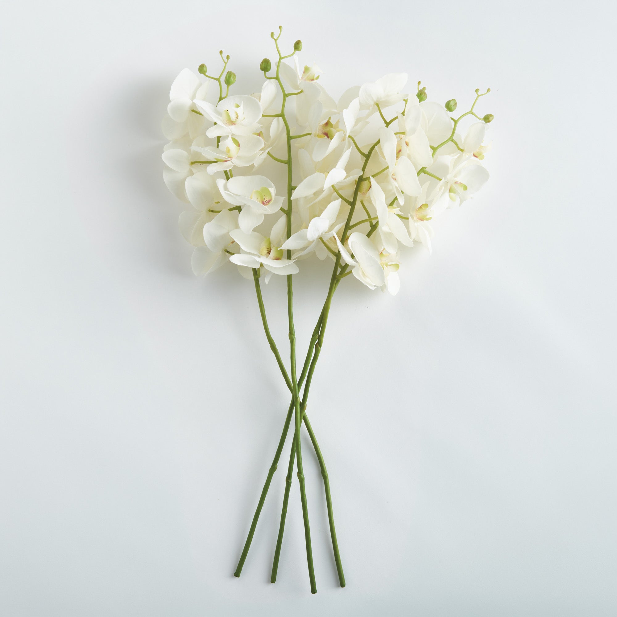 Tropical Orchid Twigs 28" Set of 4