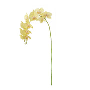 Tropical Orchid Twigs 28" Set of 4