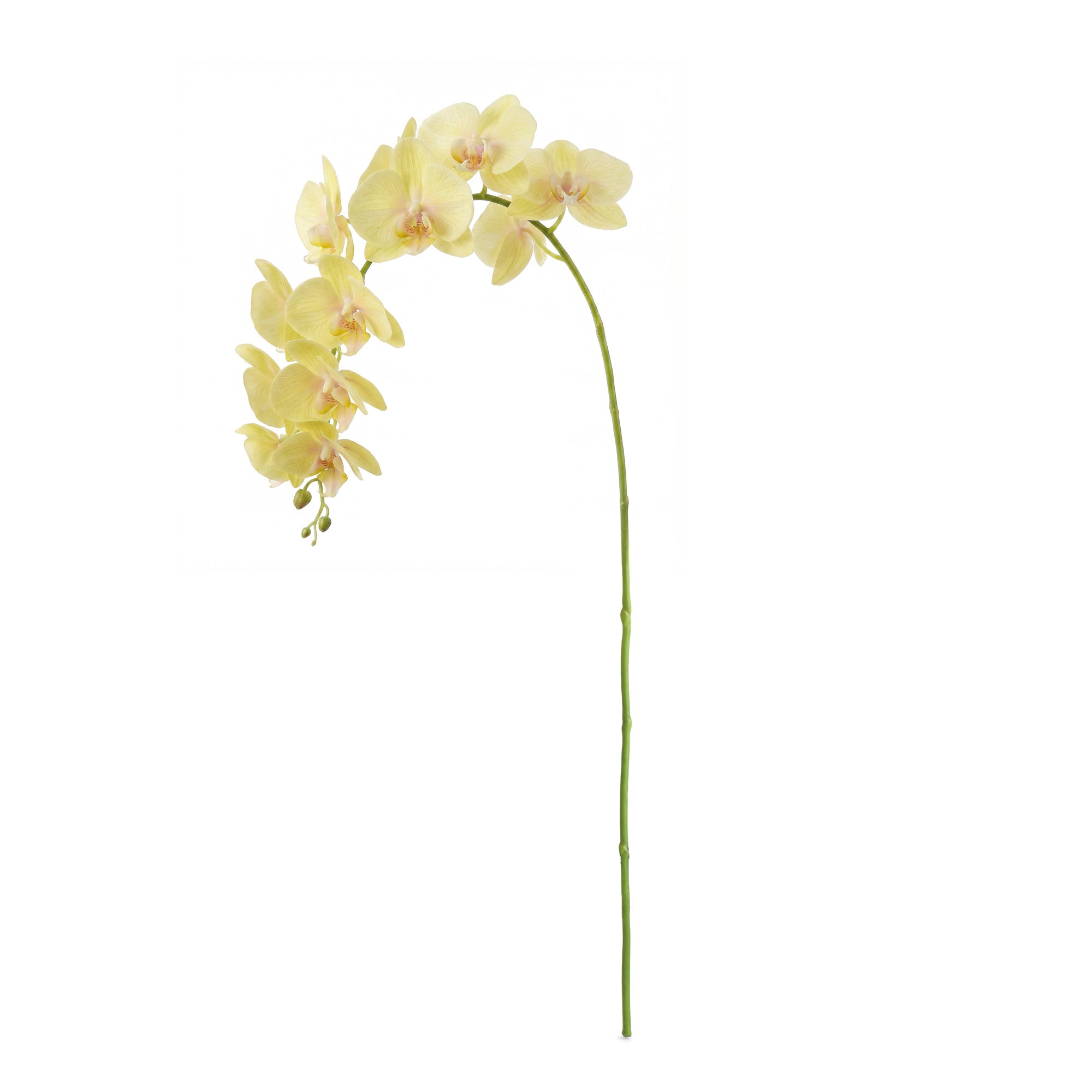 Tropical Orchid Twigs 28" Set of 4