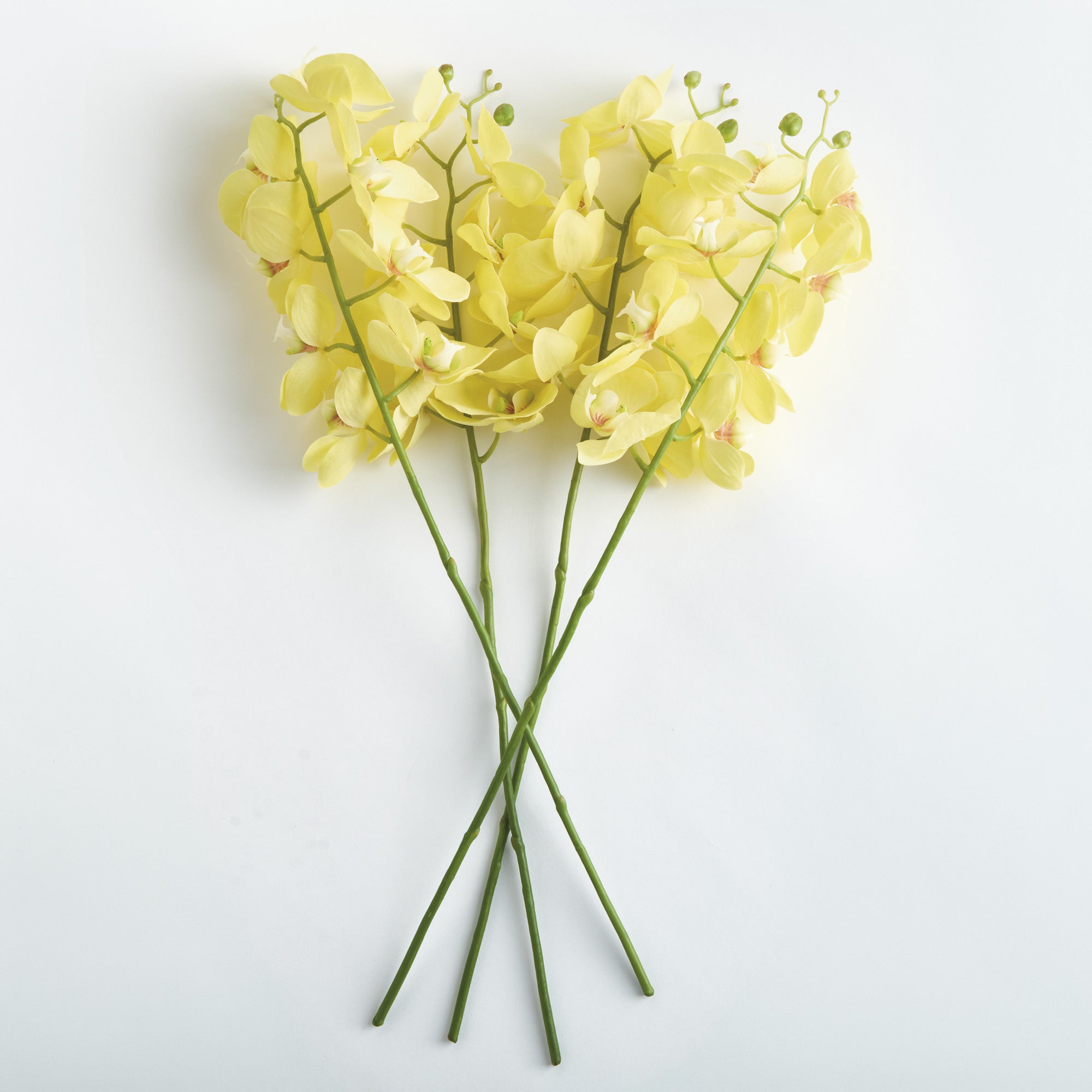 Tropical Orchid Twigs 28" Set of 4
