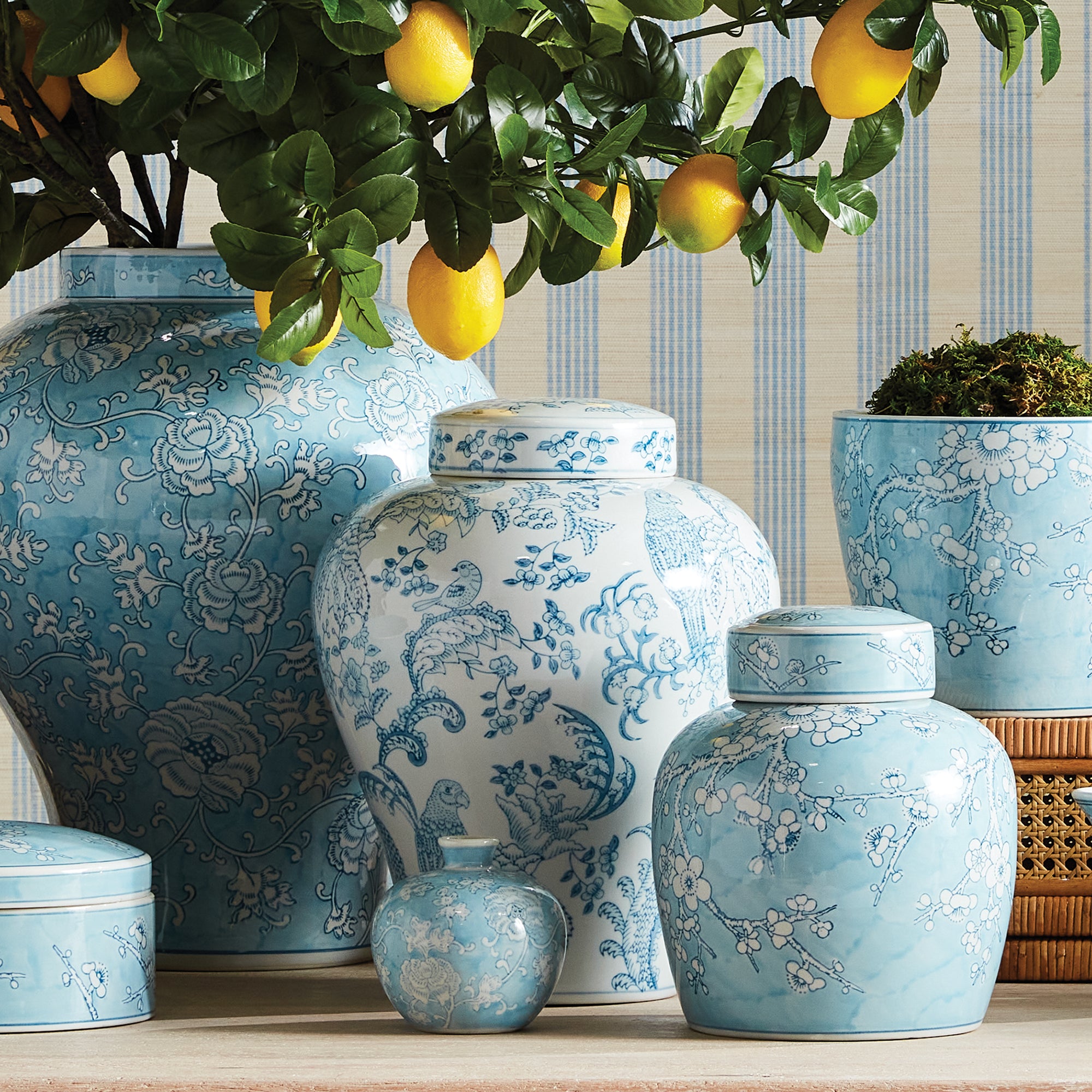 Móno Parrot Ginger Jar