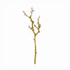 Tree-Dwelling Lichen Branches 17", Set of 6