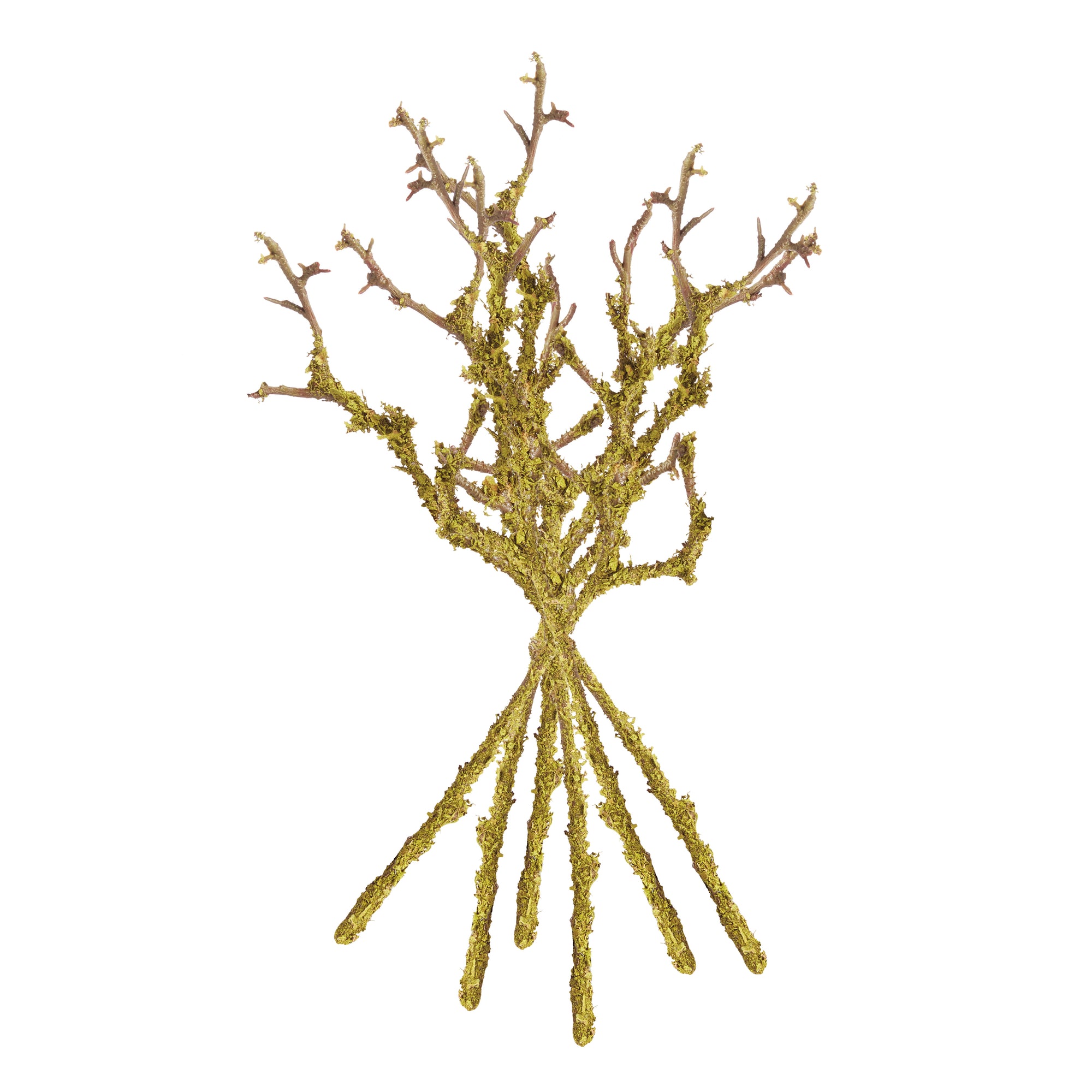 Tree-Dwelling Lichen Branches 17", Set of 6