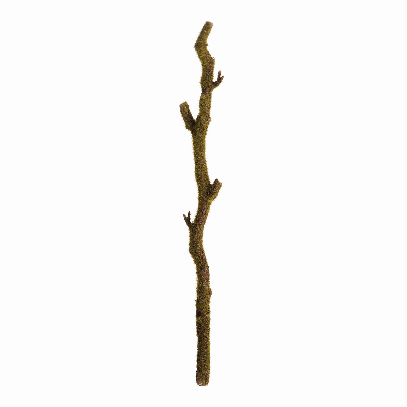 Moss Stem, Set of 2