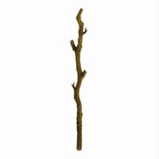 Moss Stem, Set of 2