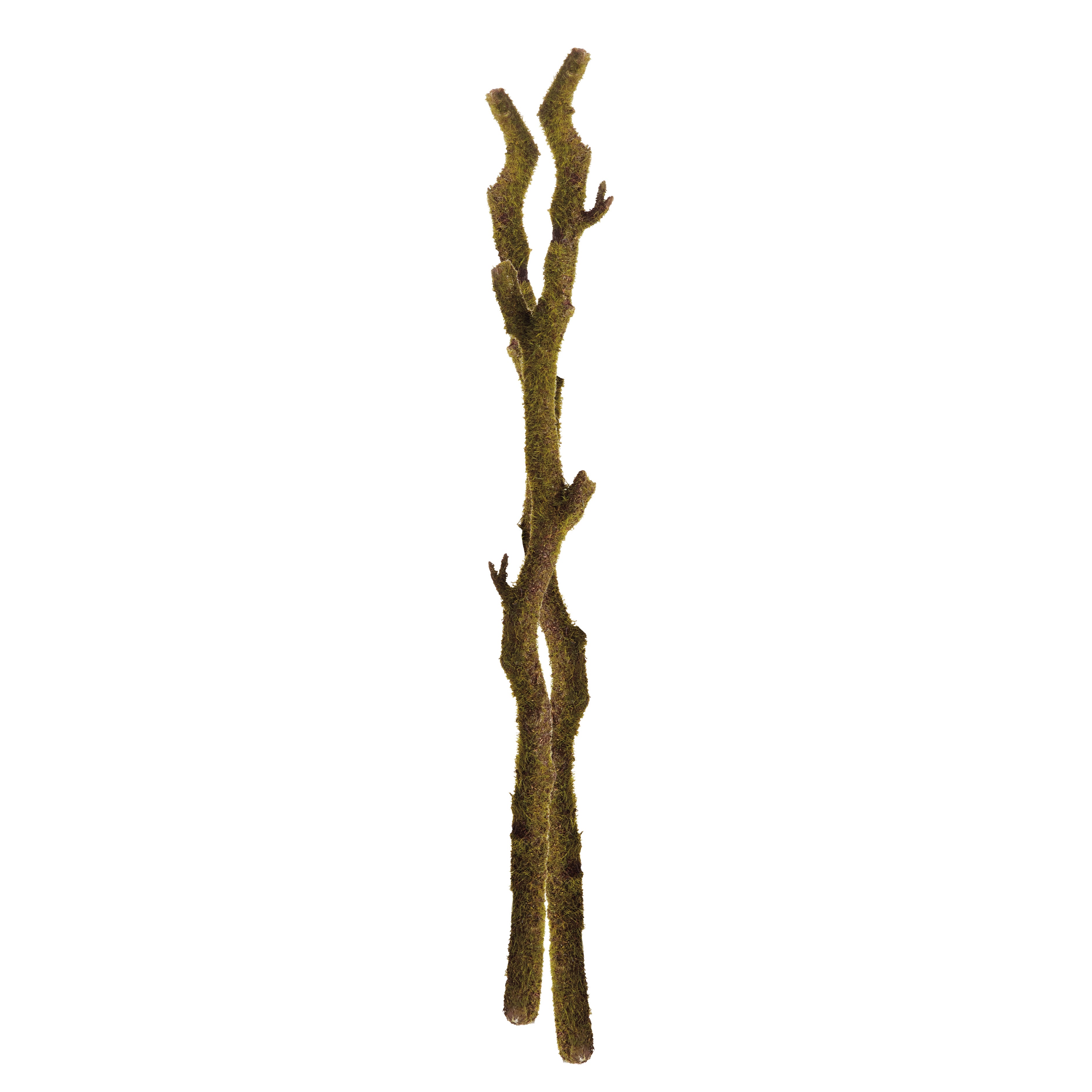 Moss Stem, Set of 2