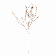 Pink Quince Branches, Set of 2