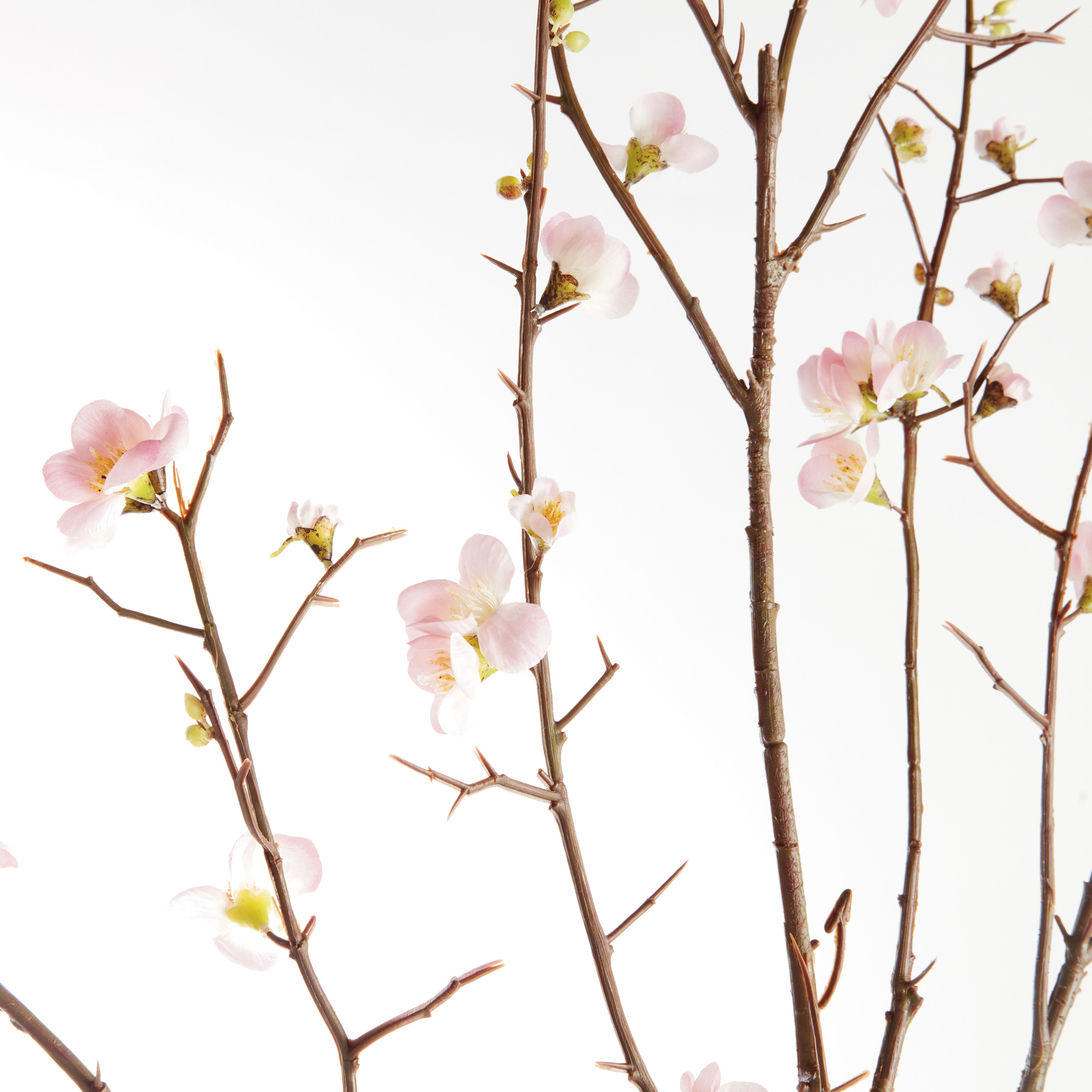 Pink Quince Branches, Set of 2