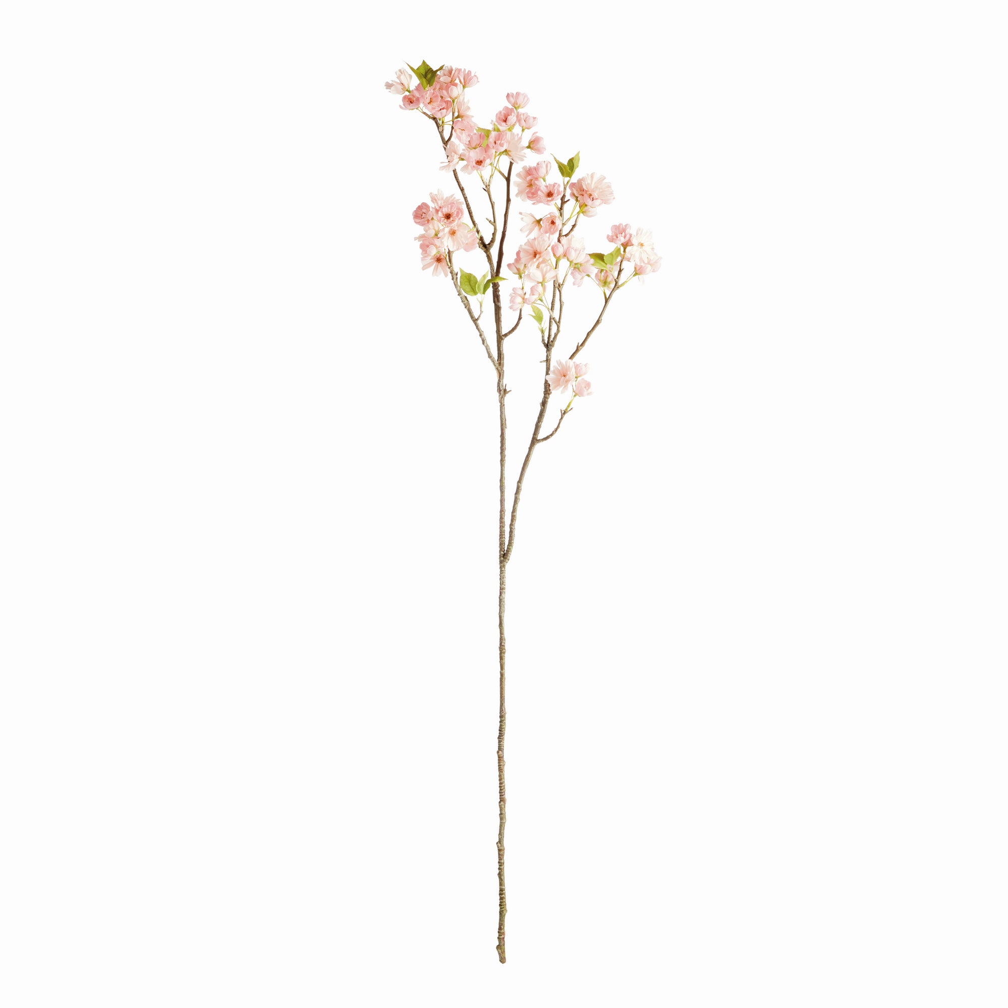 Cherry Blossom Branches - Set of 2