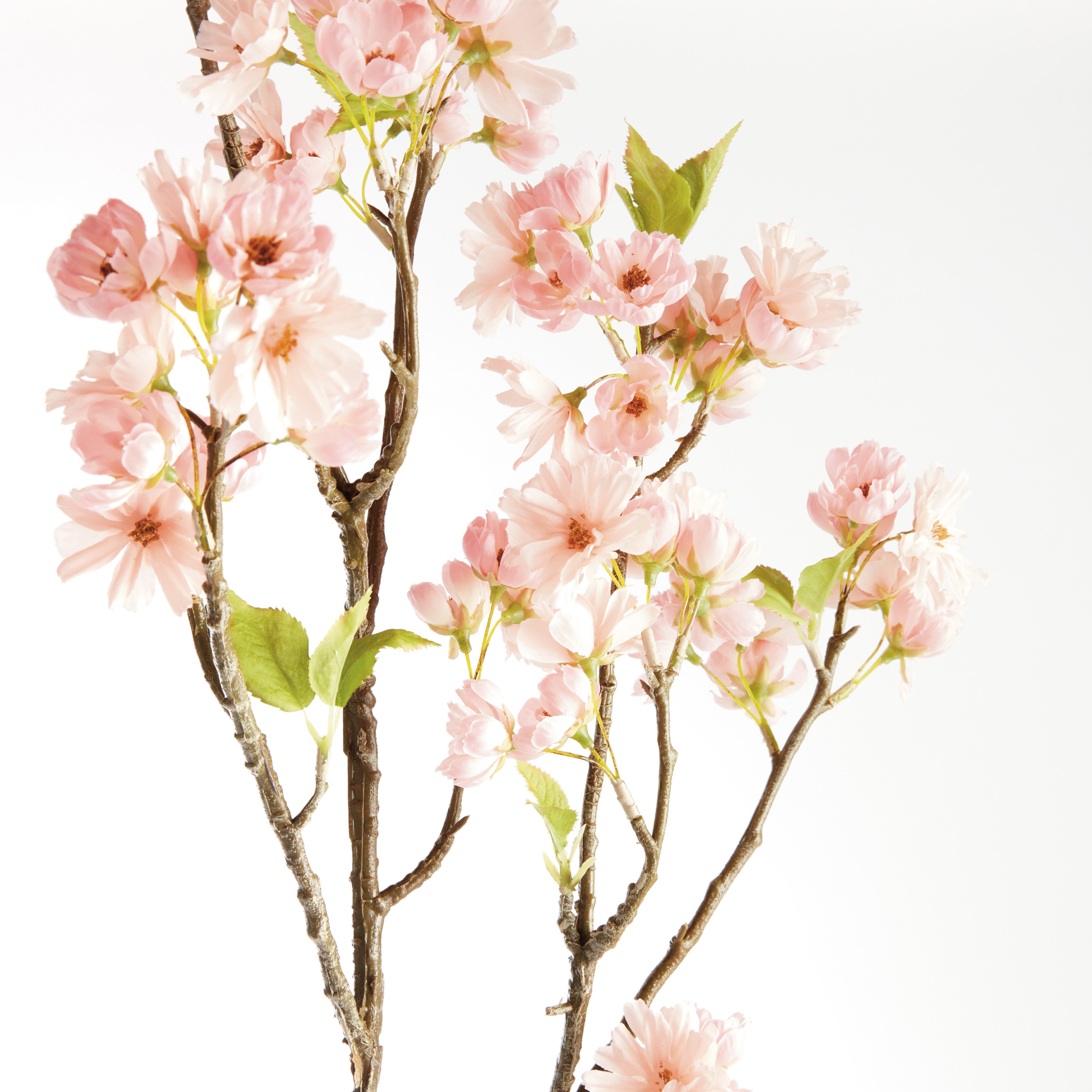 Cherry Blossom Branches - Set of 2