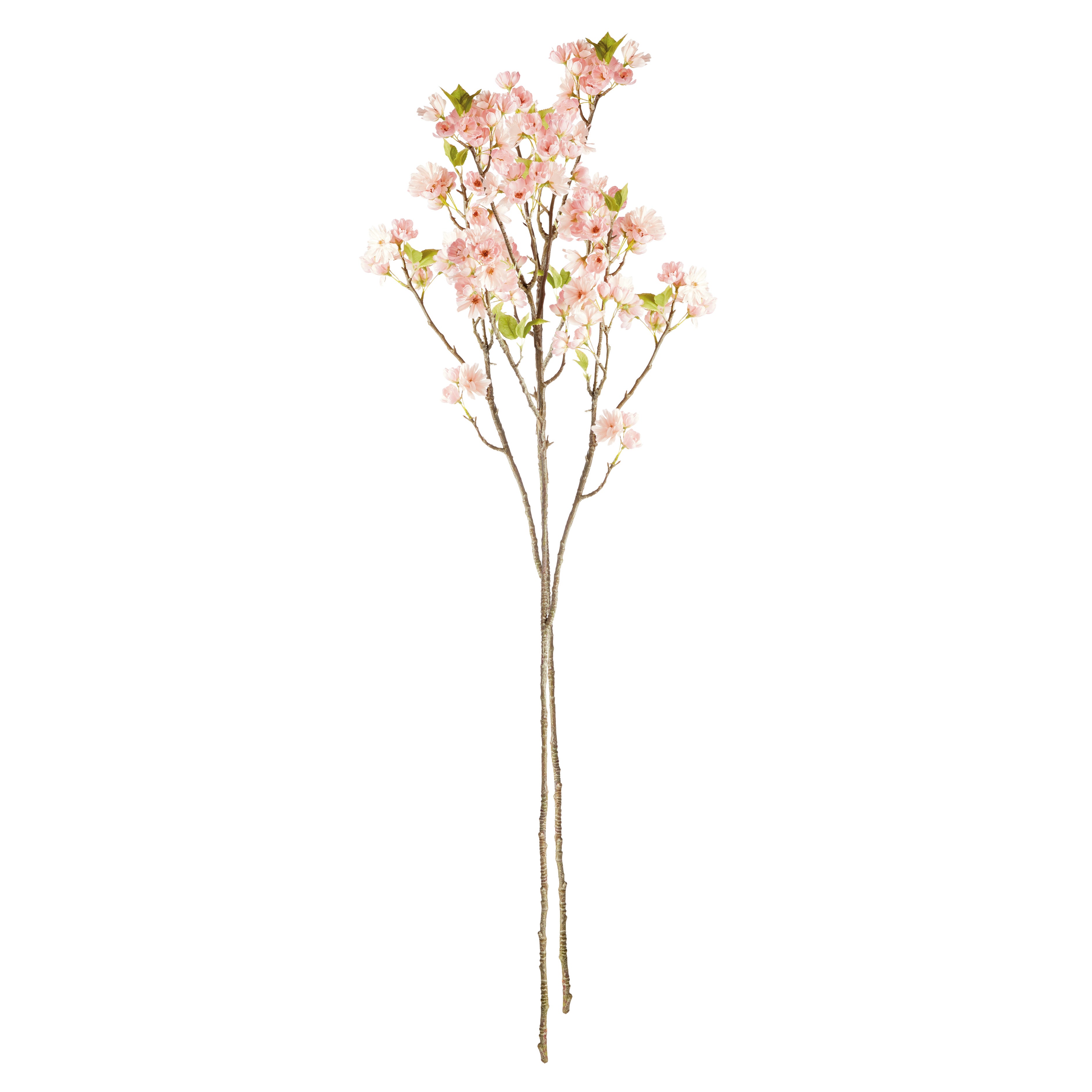 Cherry Blossom Branches - Set of 2