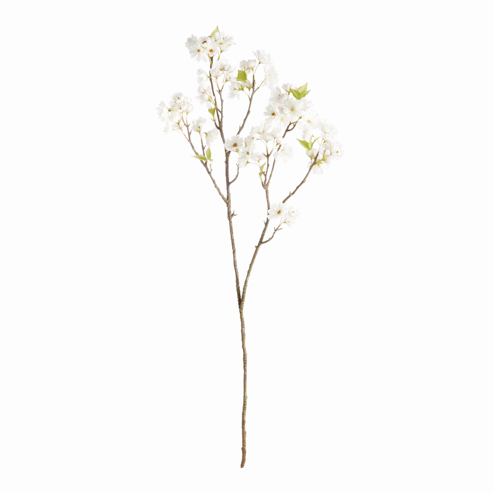 Cherry Blossom Branches - Set of 2