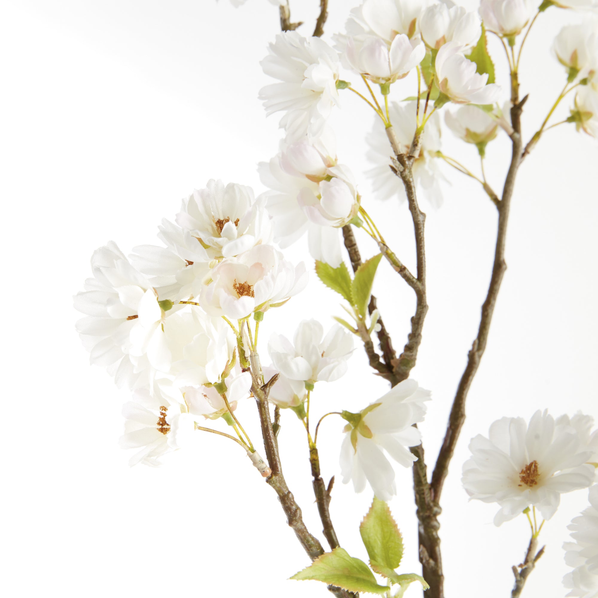 Cherry Blossom Branches - Set of 2