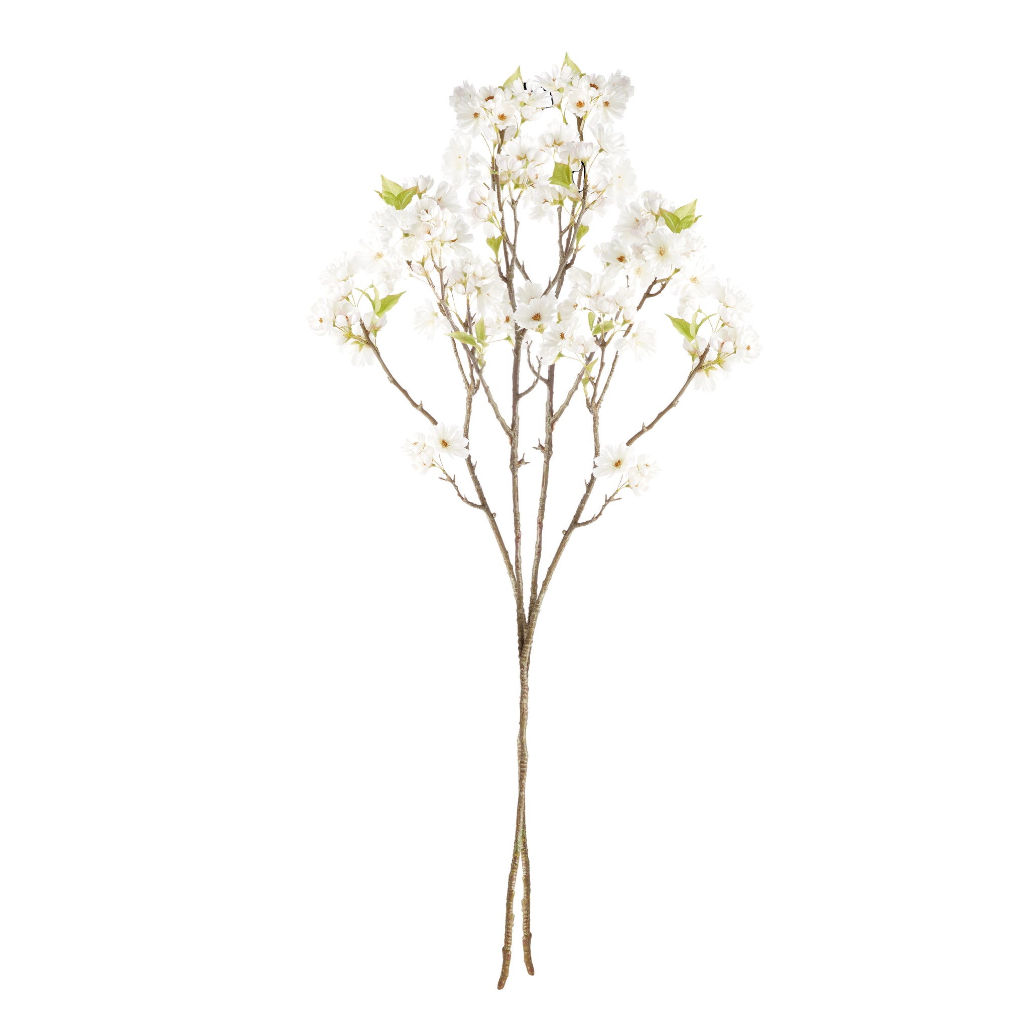 Cherry Blossom Branches - Set of 2