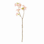 Dual Cherry Blossom Stems - Set of 6